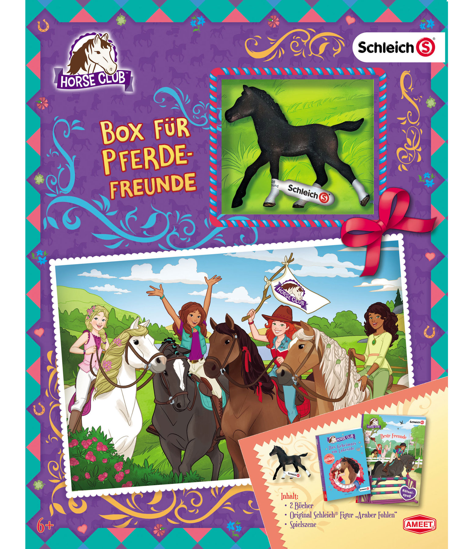 Horse Club-Box für Pferdefreunde