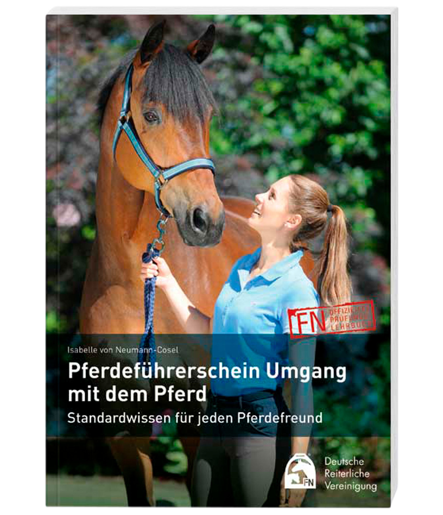Pferdeführerschein Umgang mit dem Pferd