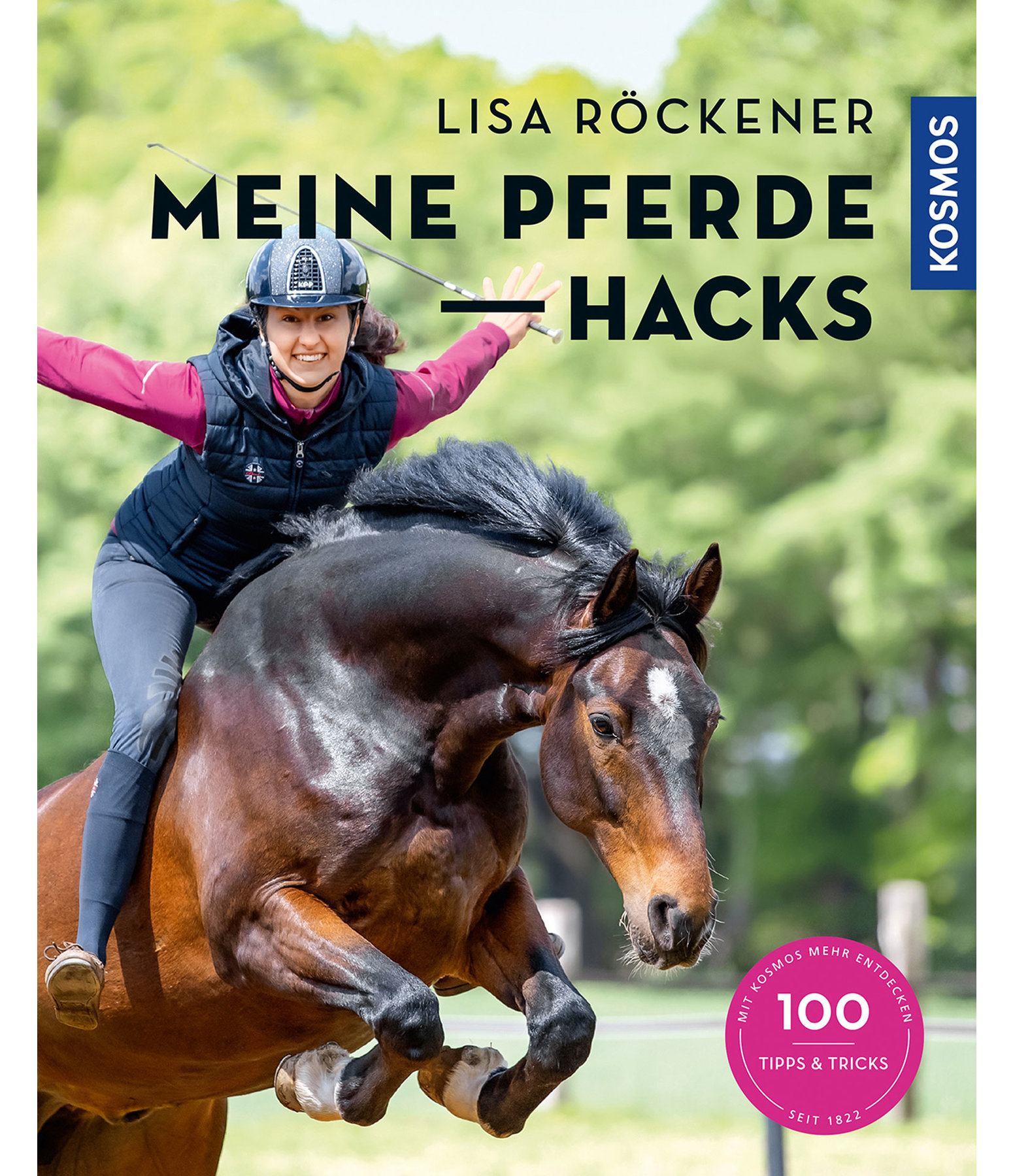 Meine Pferde Hacks