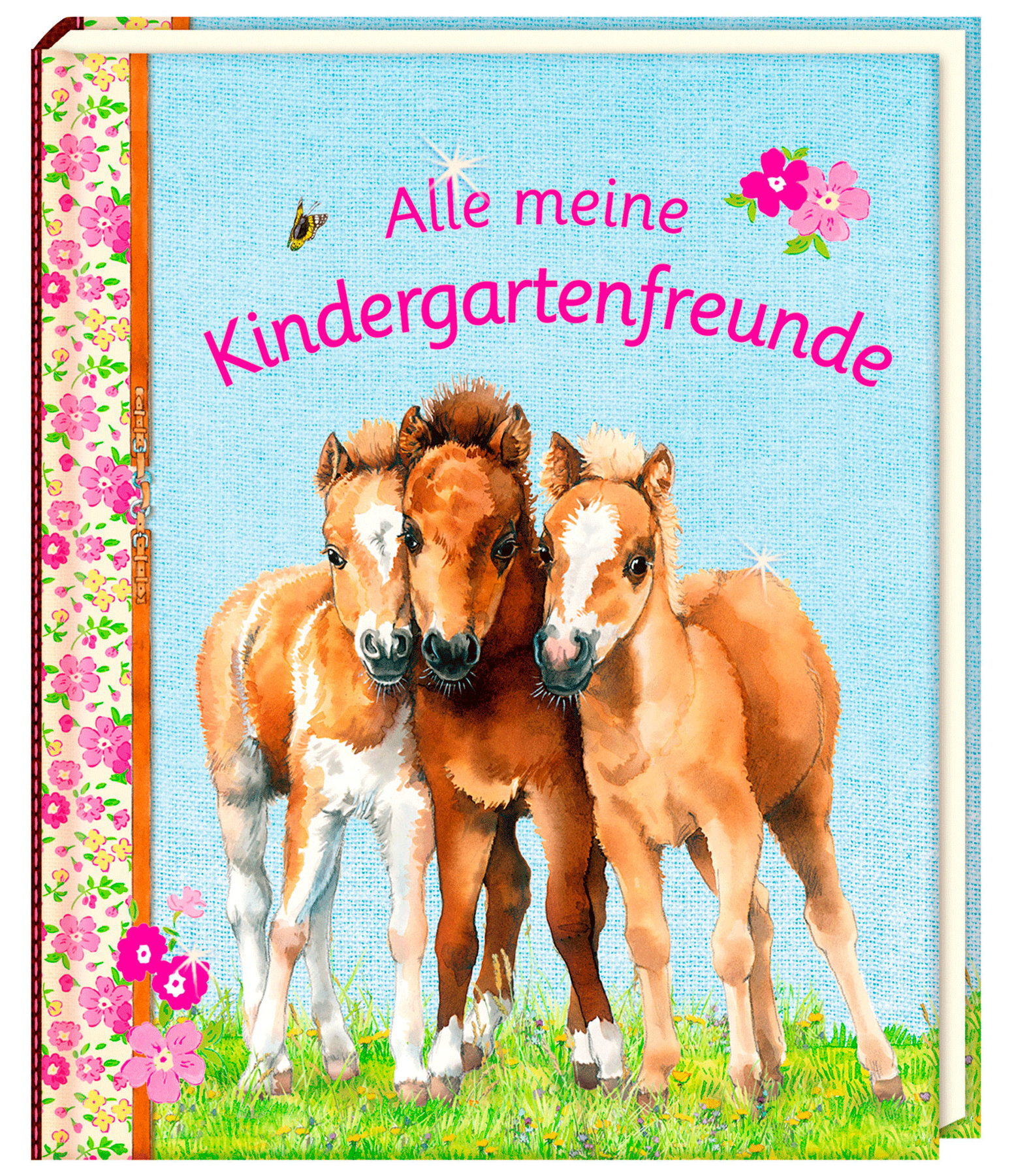 Alle meine Kindergartenfreunde Freundebuch