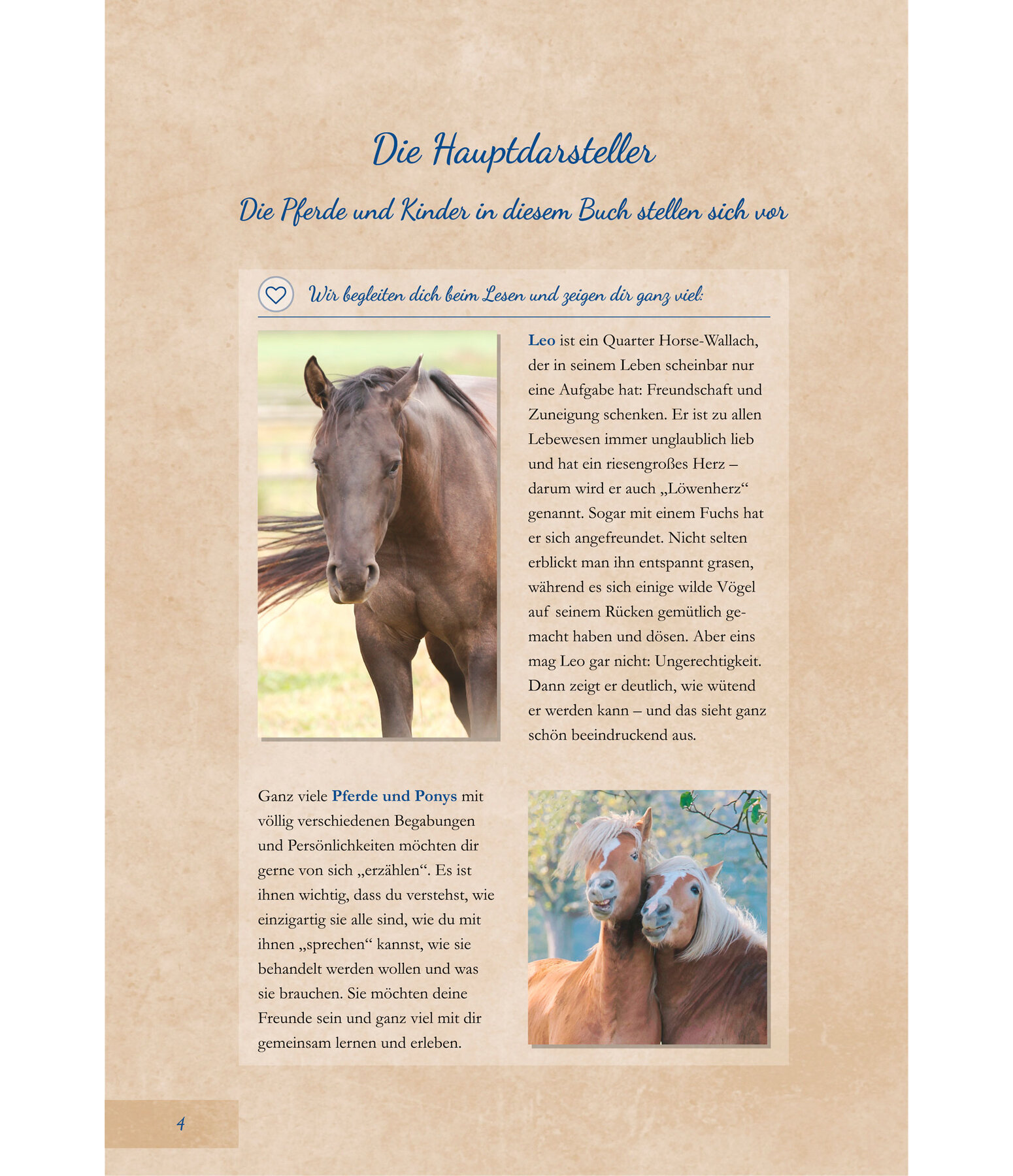 Horsemanship fr Kids: Pferdisch verstehen - leicht gemacht