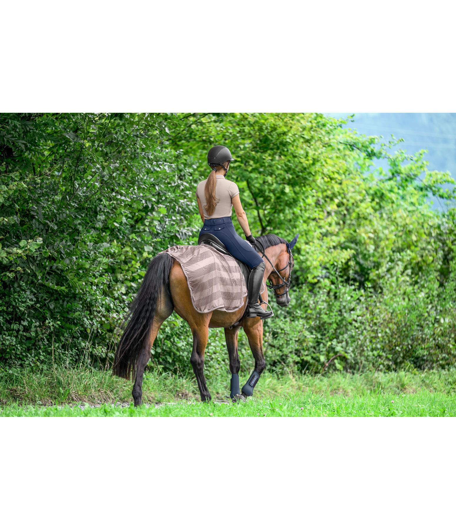 Fliegen-Ausreitdecke Economy Light