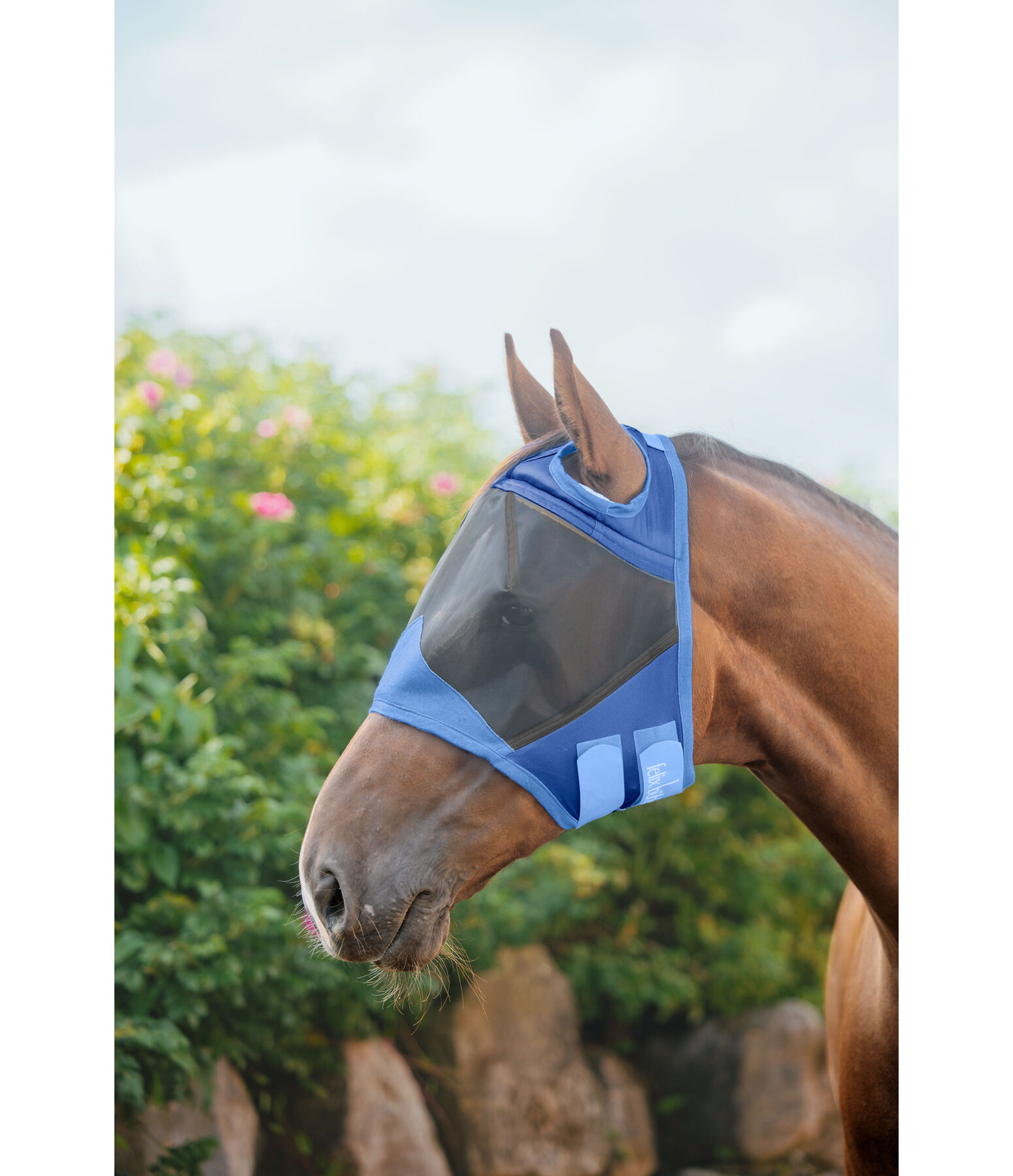Fliegenmaske Basic Ear-Free