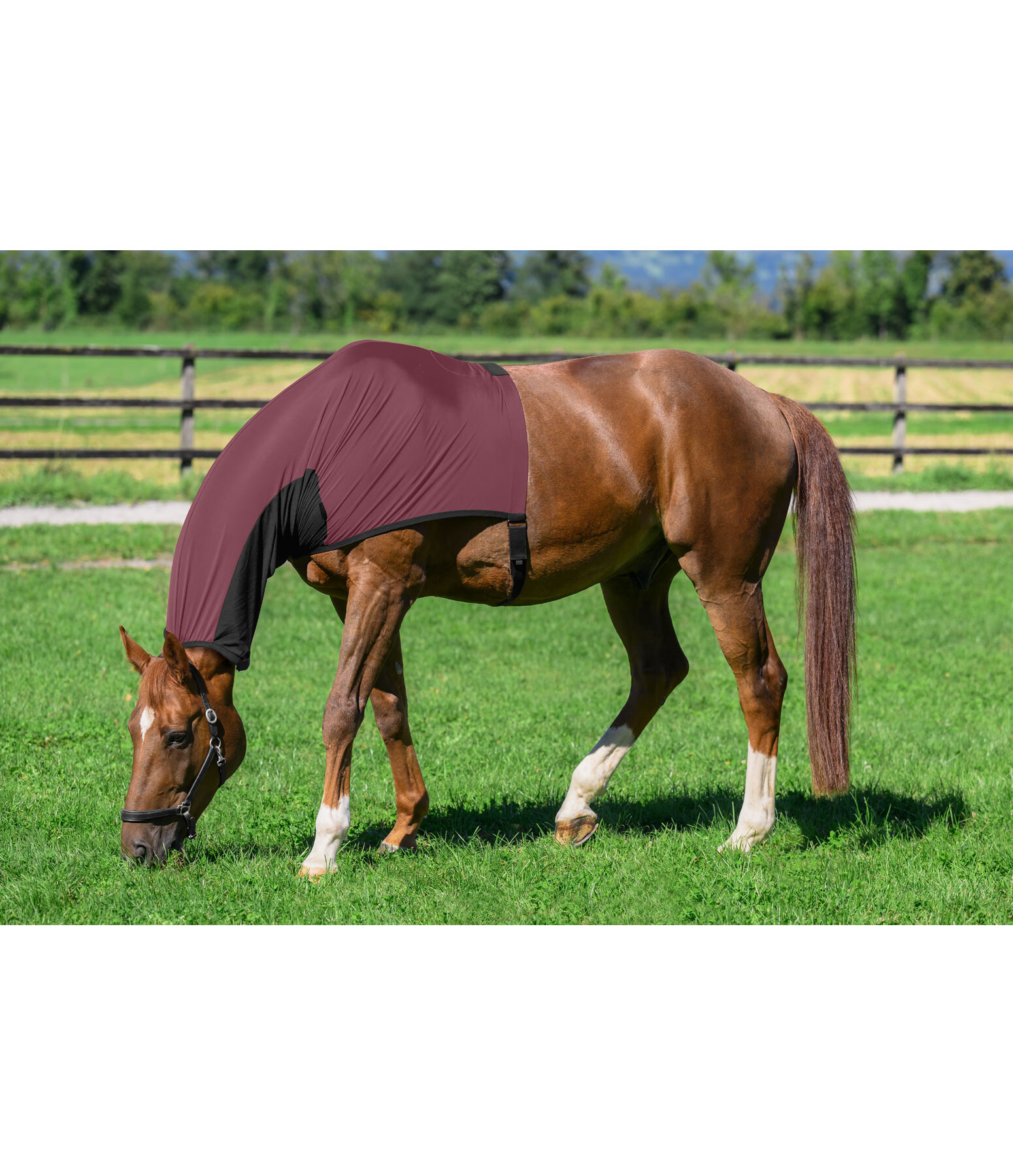 Fliegen- und Ekzemerschutz-Halsteil Stretch Comfort