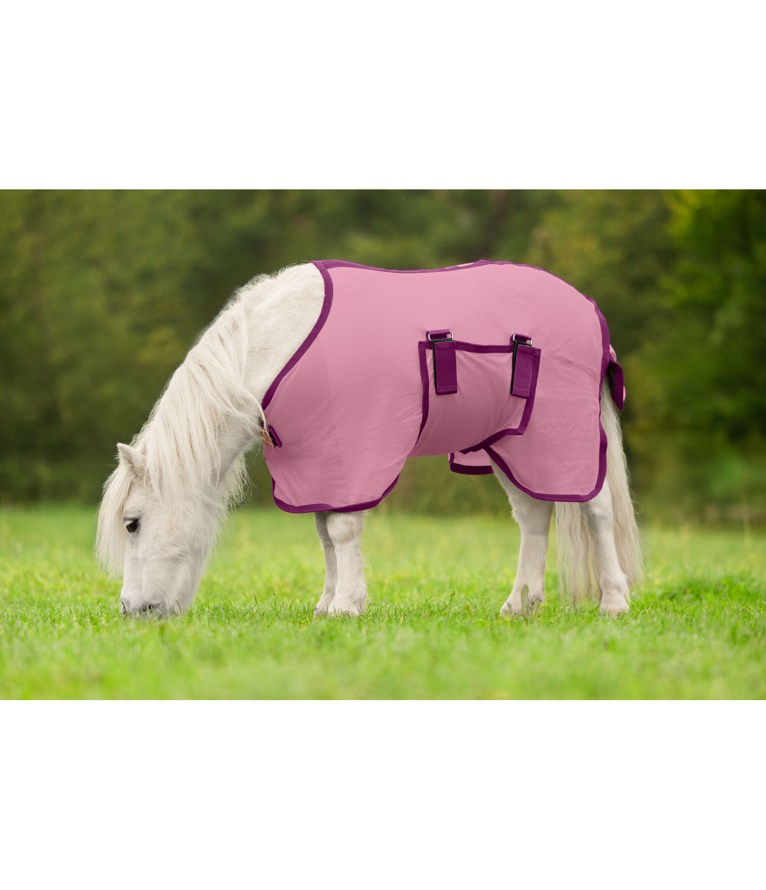 Fohlen und Minishetty Fliegendecke Kubi Fly