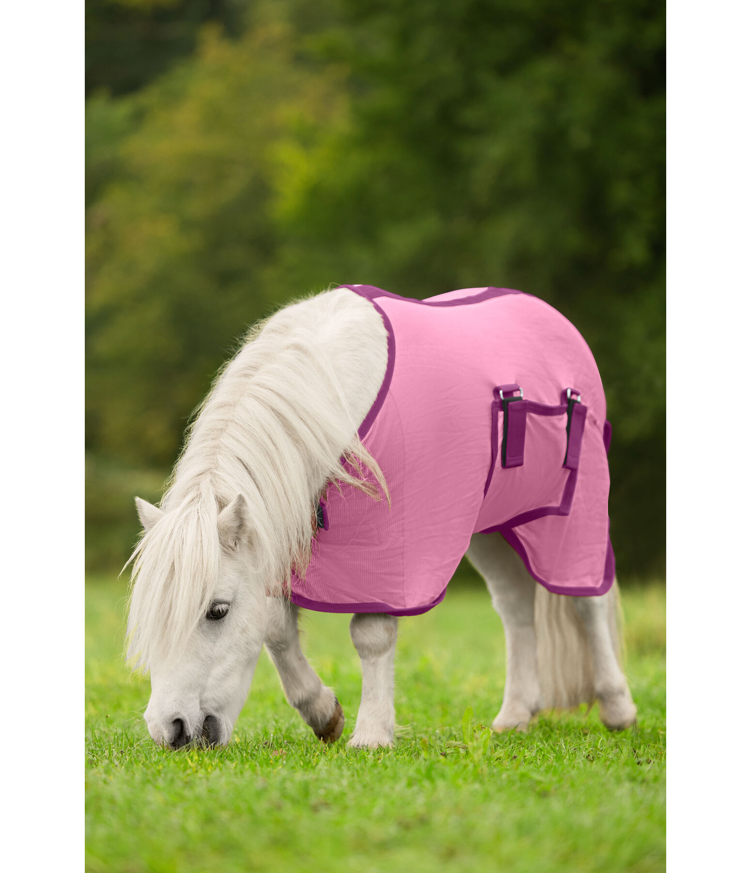 Fohlen und Minishetty Fliegendecke Kubi Fly