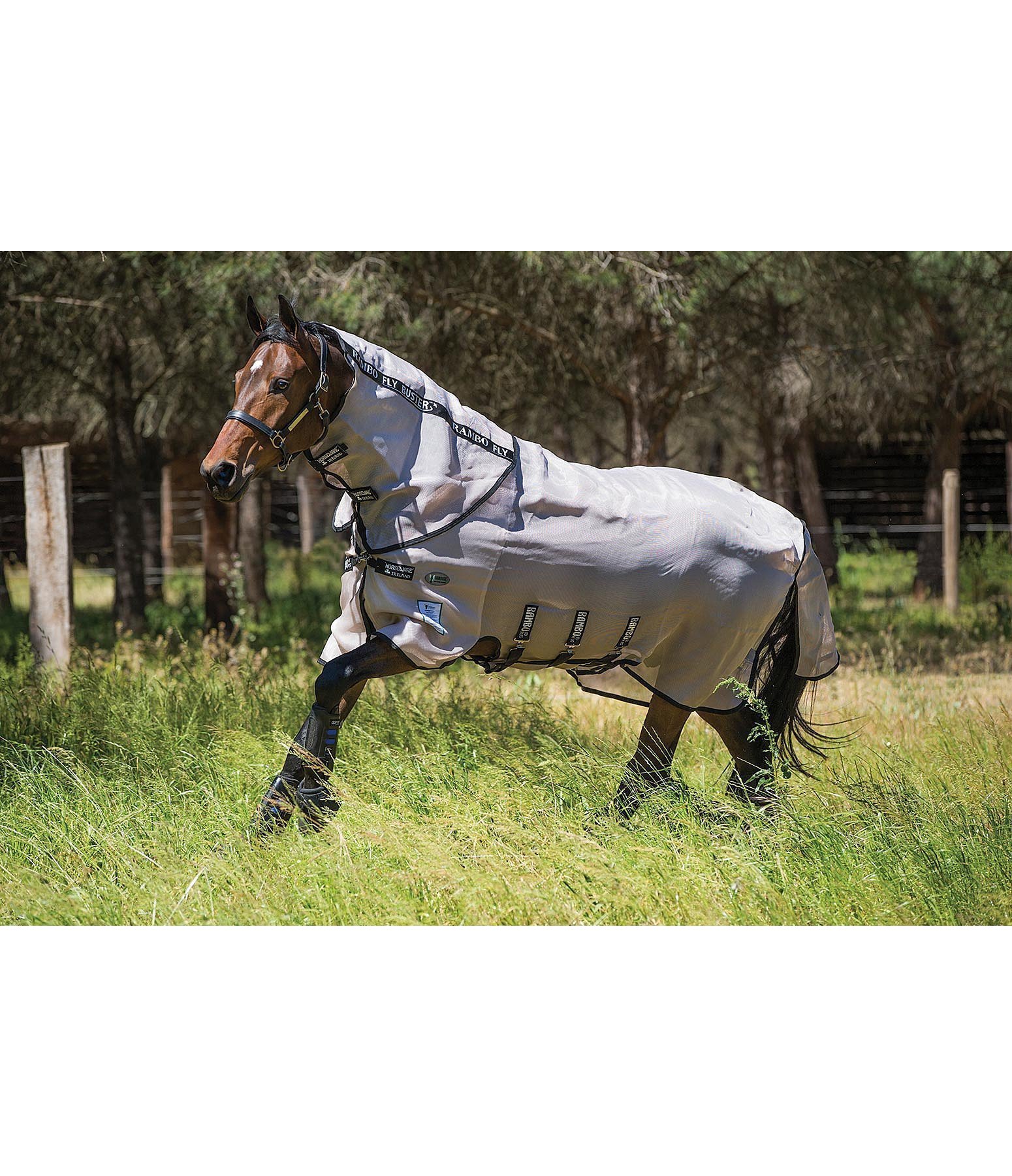RAMBO Fliegendecke Fly Buster Vamoose