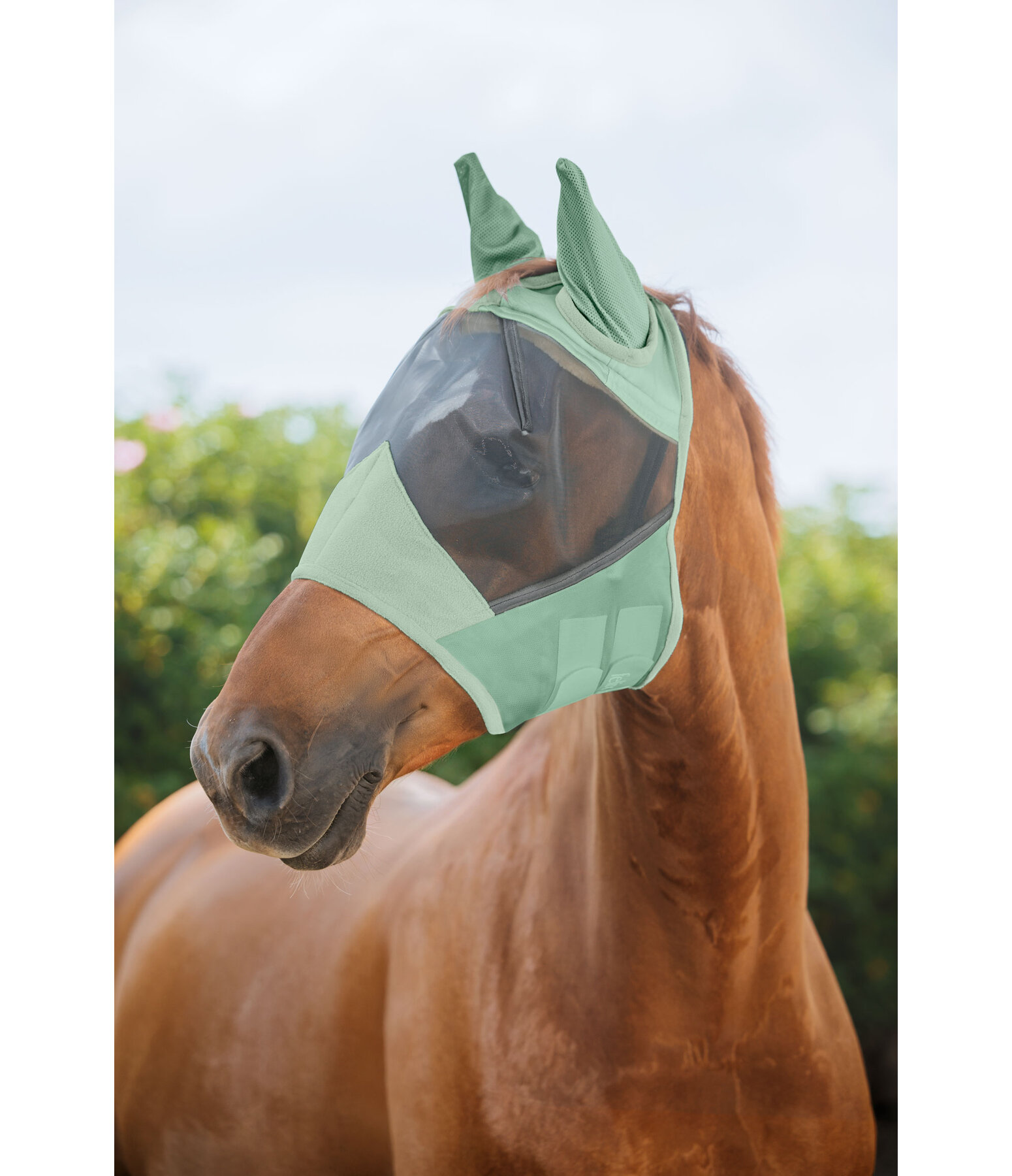 Fliegenmaske Basic
