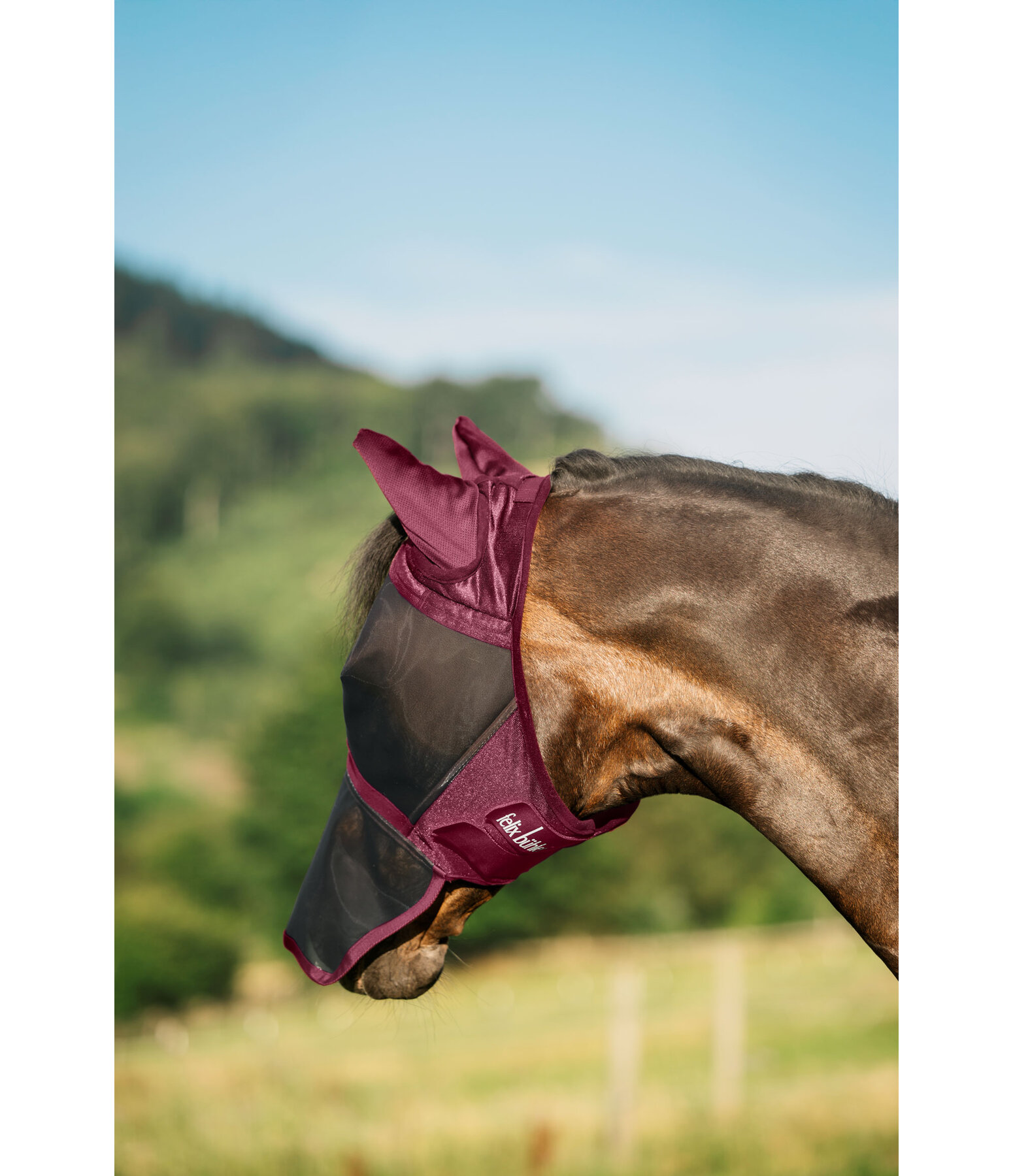 Fliegenmaske Basic mit Nsternschutz
