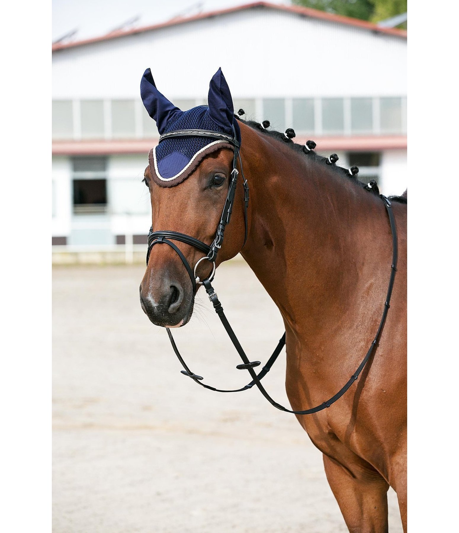 Fliegenhaube Deluxe
