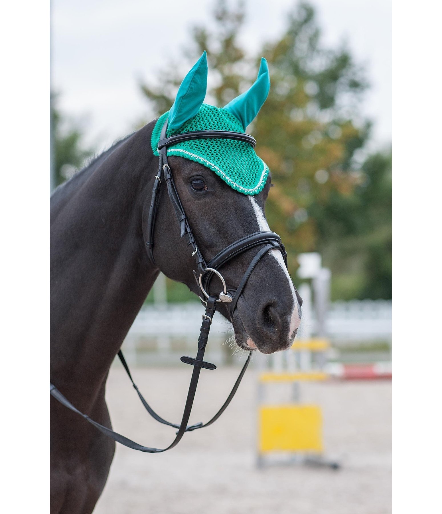 Fliegenhaube Shooting Star 1