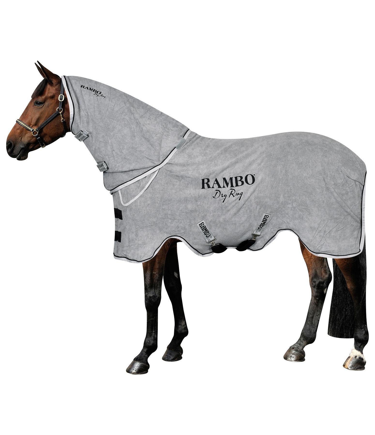 RAMBO Dry Rug Ponydecken Krämer Pferdesport