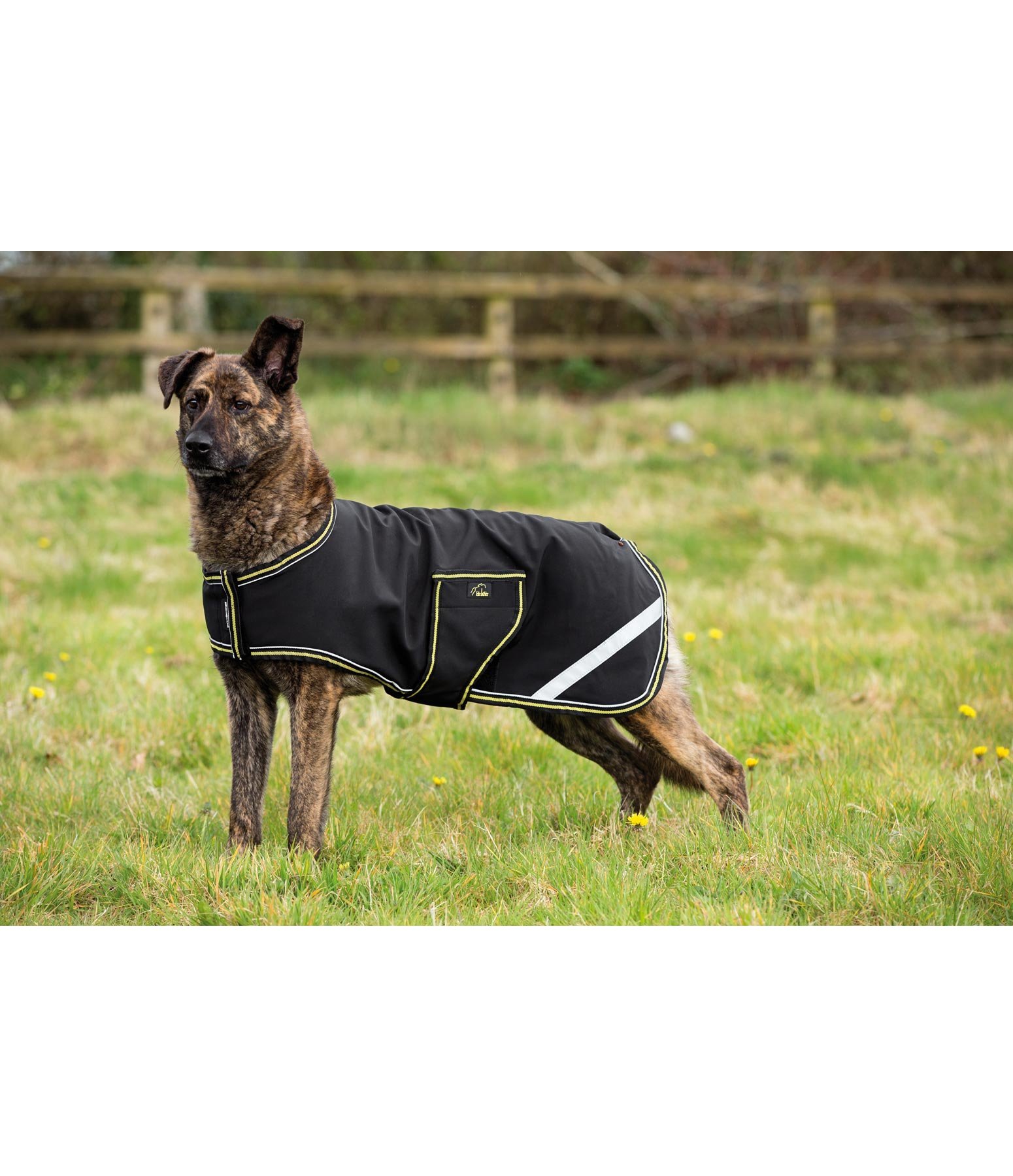 Hundedecke Softshell Special