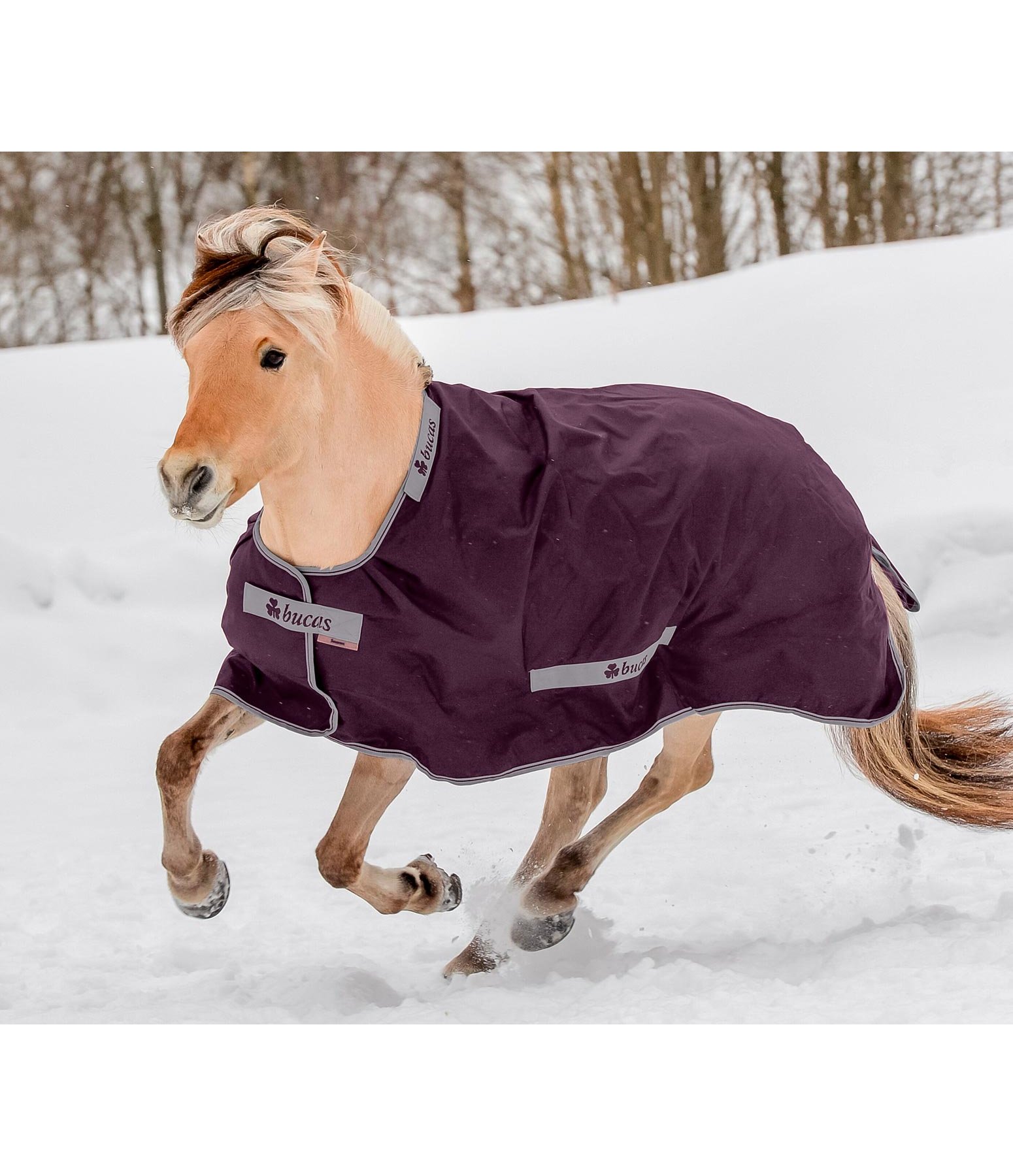 Regendecke Smartex Rain, 0 g
