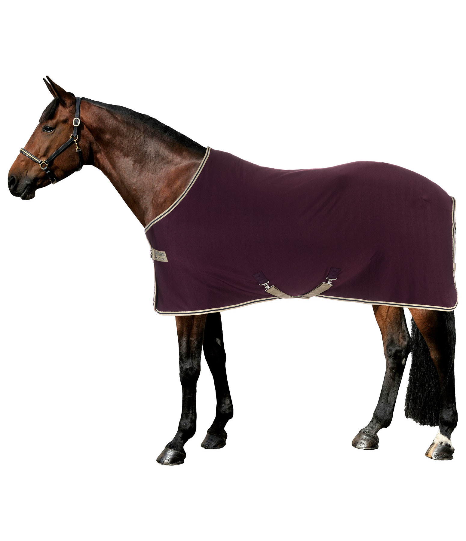 AMIGO Jersey Cooler