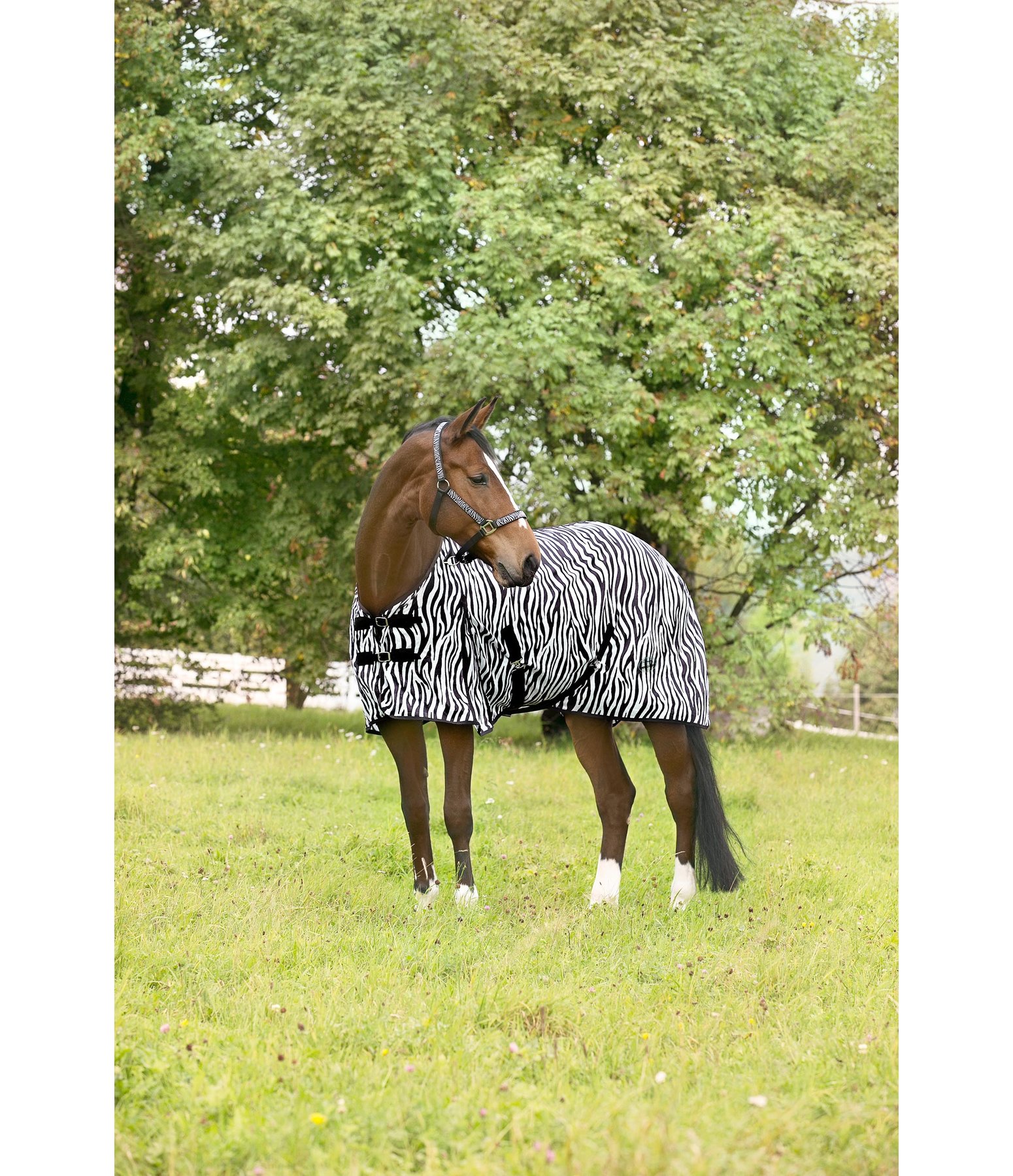 B-Ware: Fliegendecke Zebra Classic