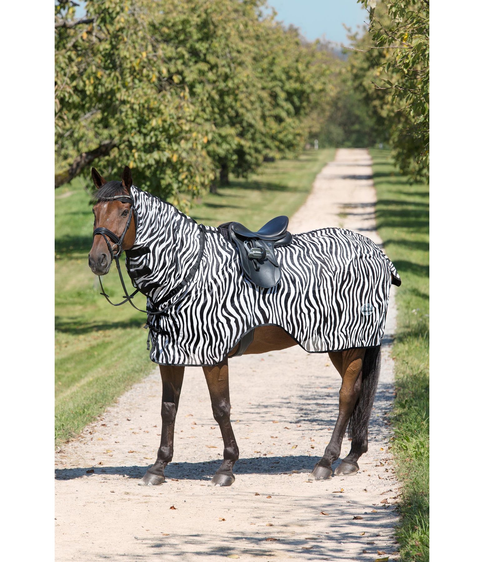 B-Ware: Fliegen-Ausreitdecke Zebra mit Hals
