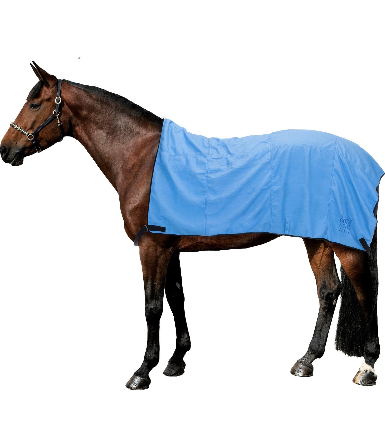 Kühldecke COOL & HEALTH Body Wrap