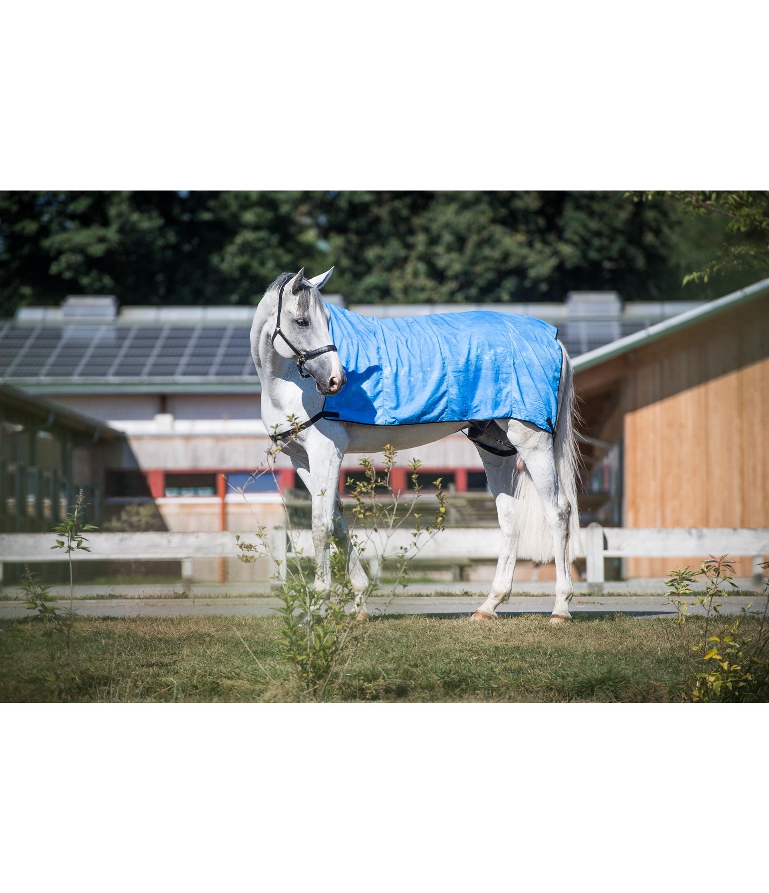 Kühldecke COOL & HEALTH Body Wrap