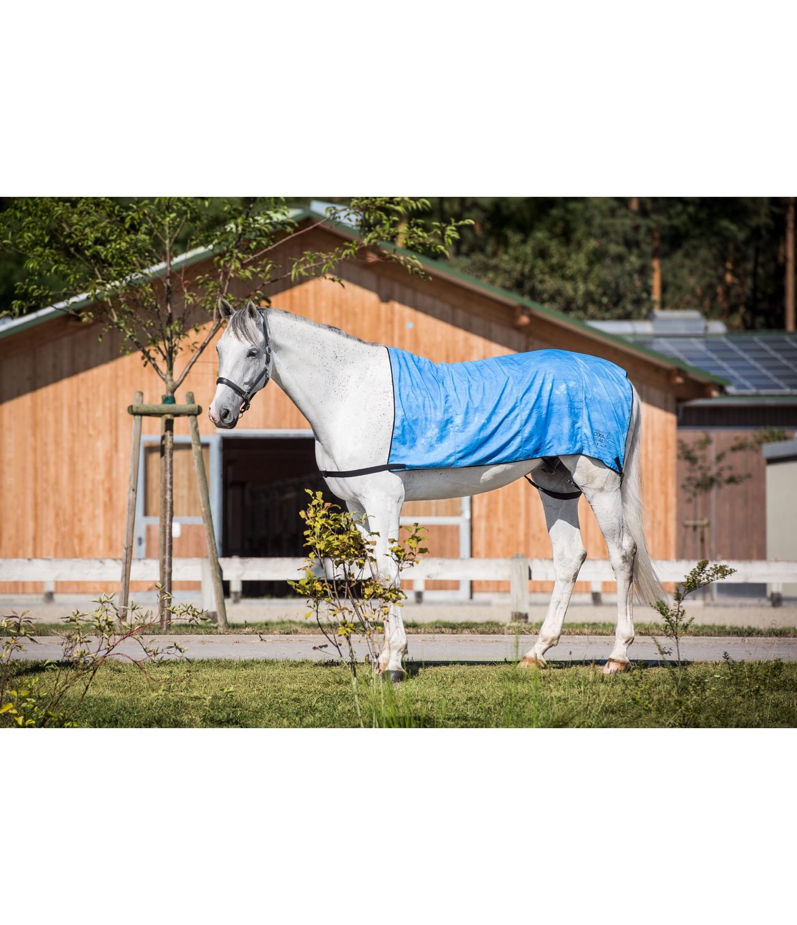 Kühldecke COOL & HEALTH Body Wrap