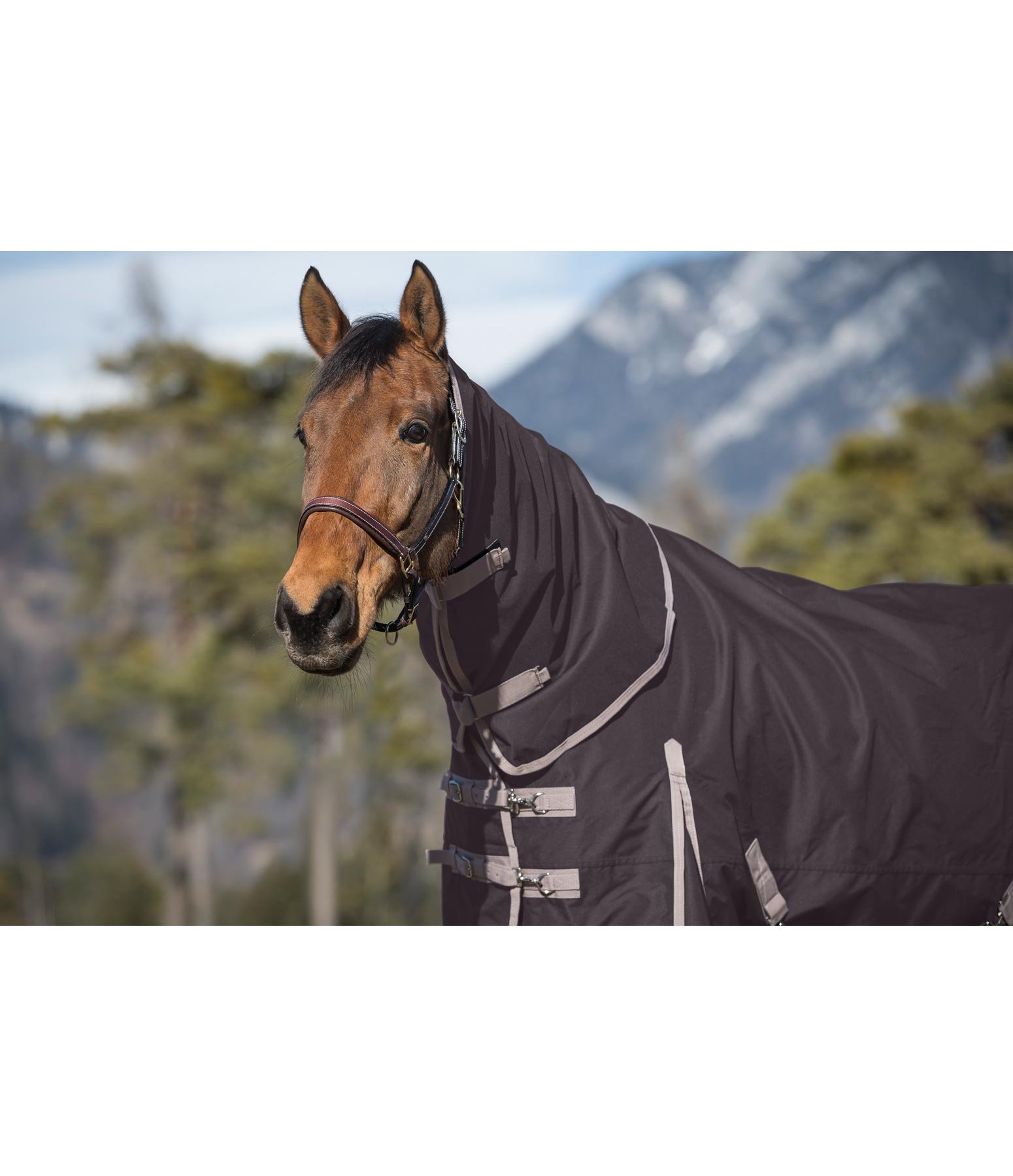 Halsteil Albury 100 g
