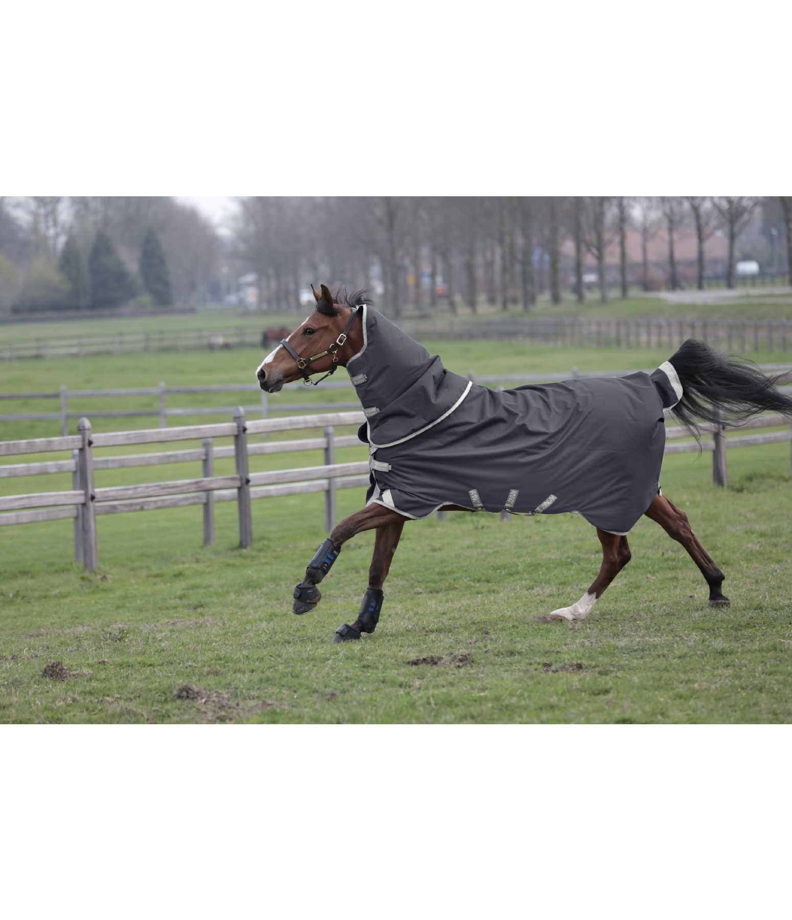 AMIGO Winterdecke Bravo 12 Plus, 100 g