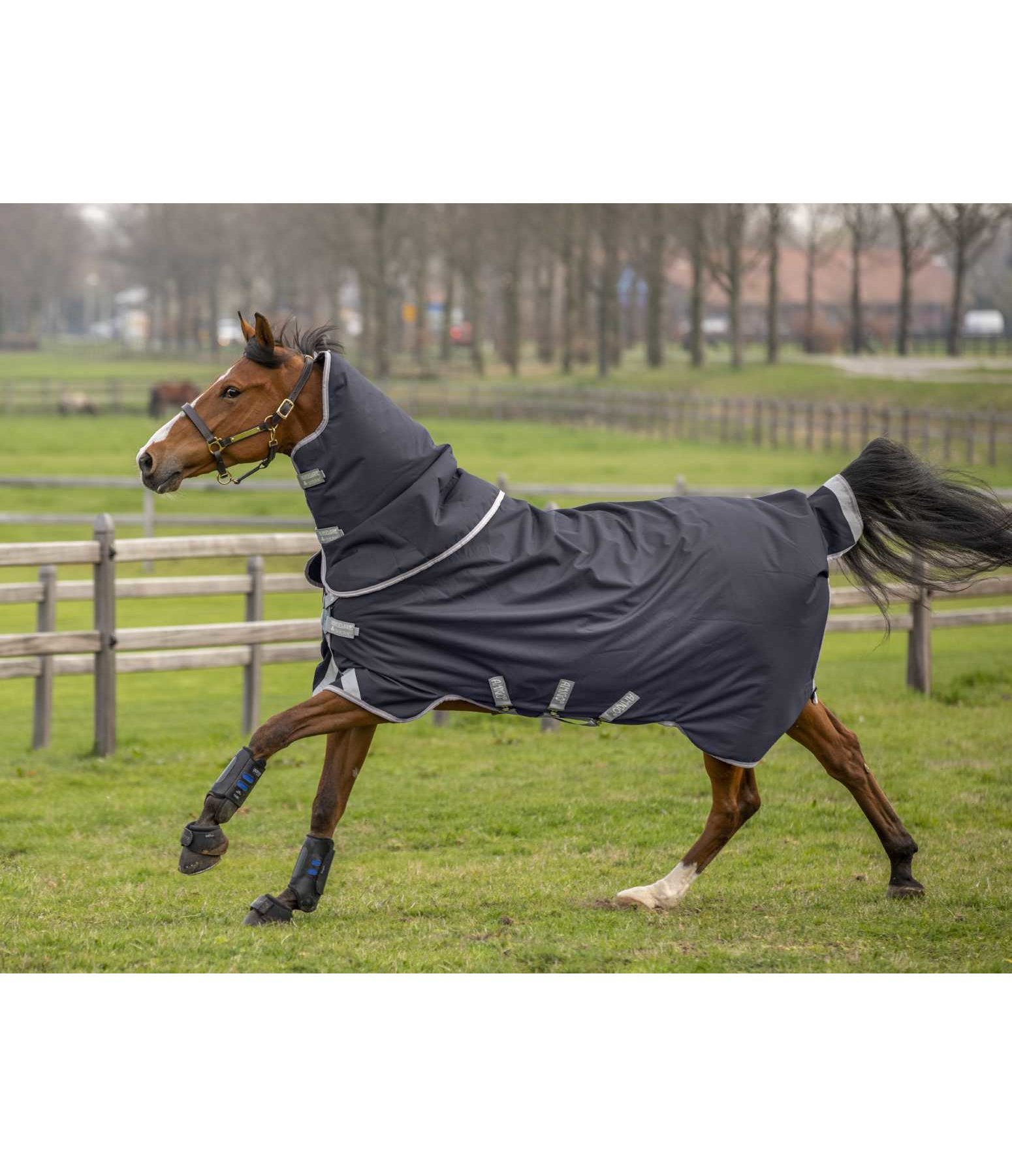 AMIGO Winterdecke Bravo 12 Plus, 100 g