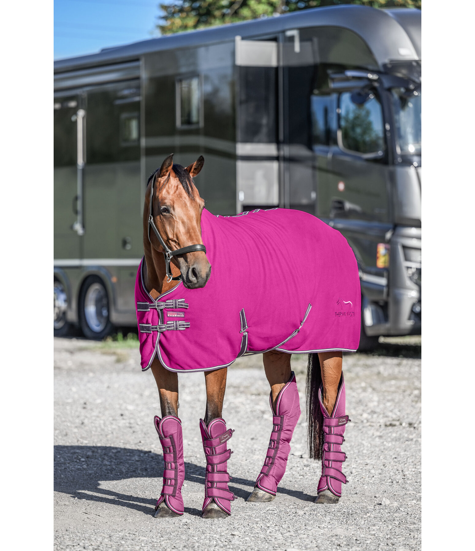 Fleece-Abschwitzdecke Activity