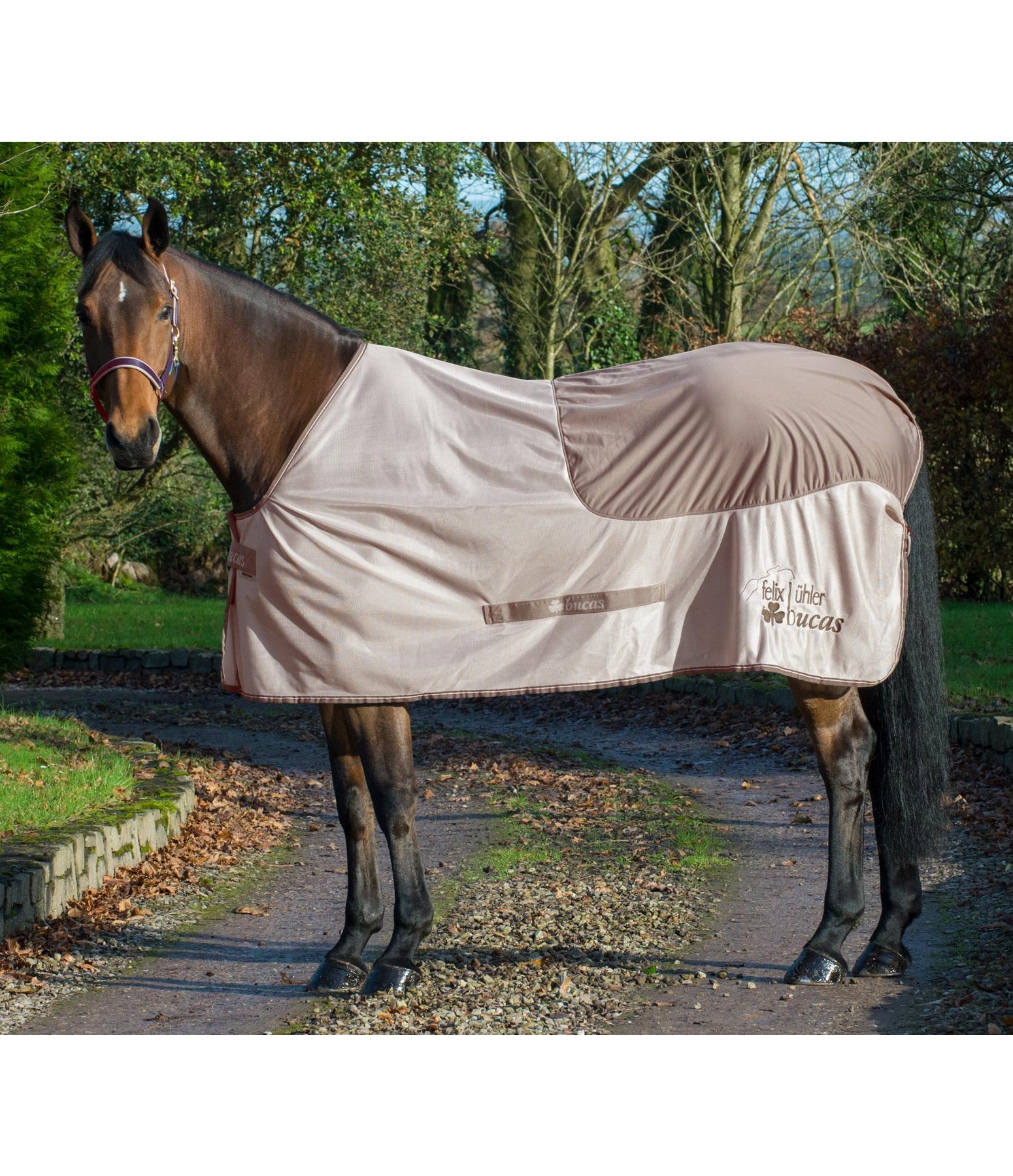 Kidney Cooler Abschwitzdecke