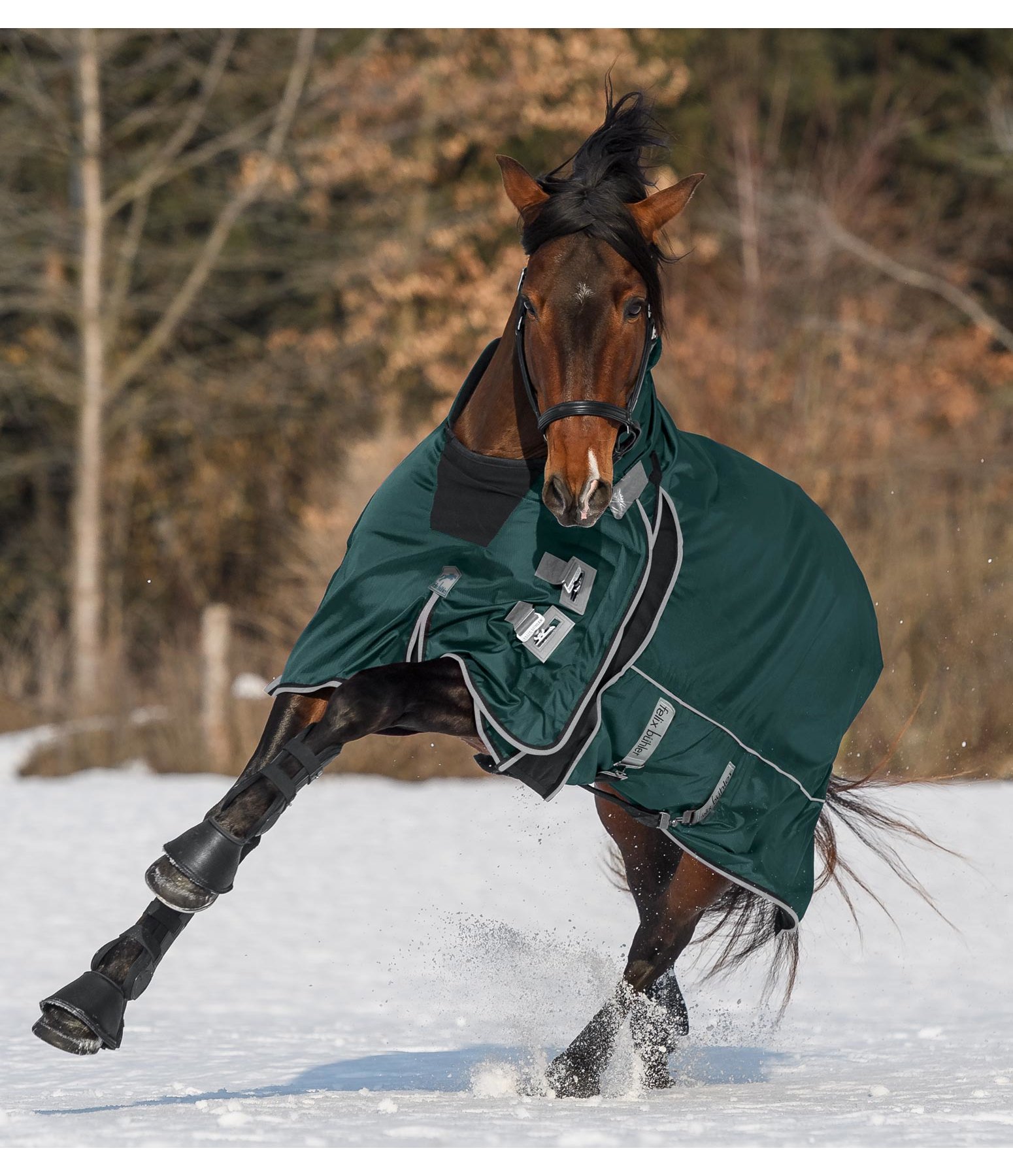 Stalldecke Highneck Detroit 1.680, 50 g