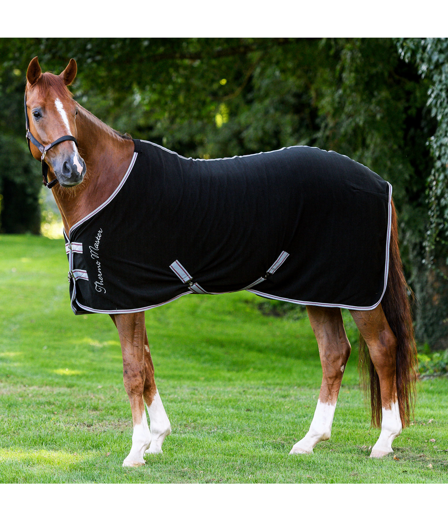 Funktions-Abschwitzdecke Terry Towel