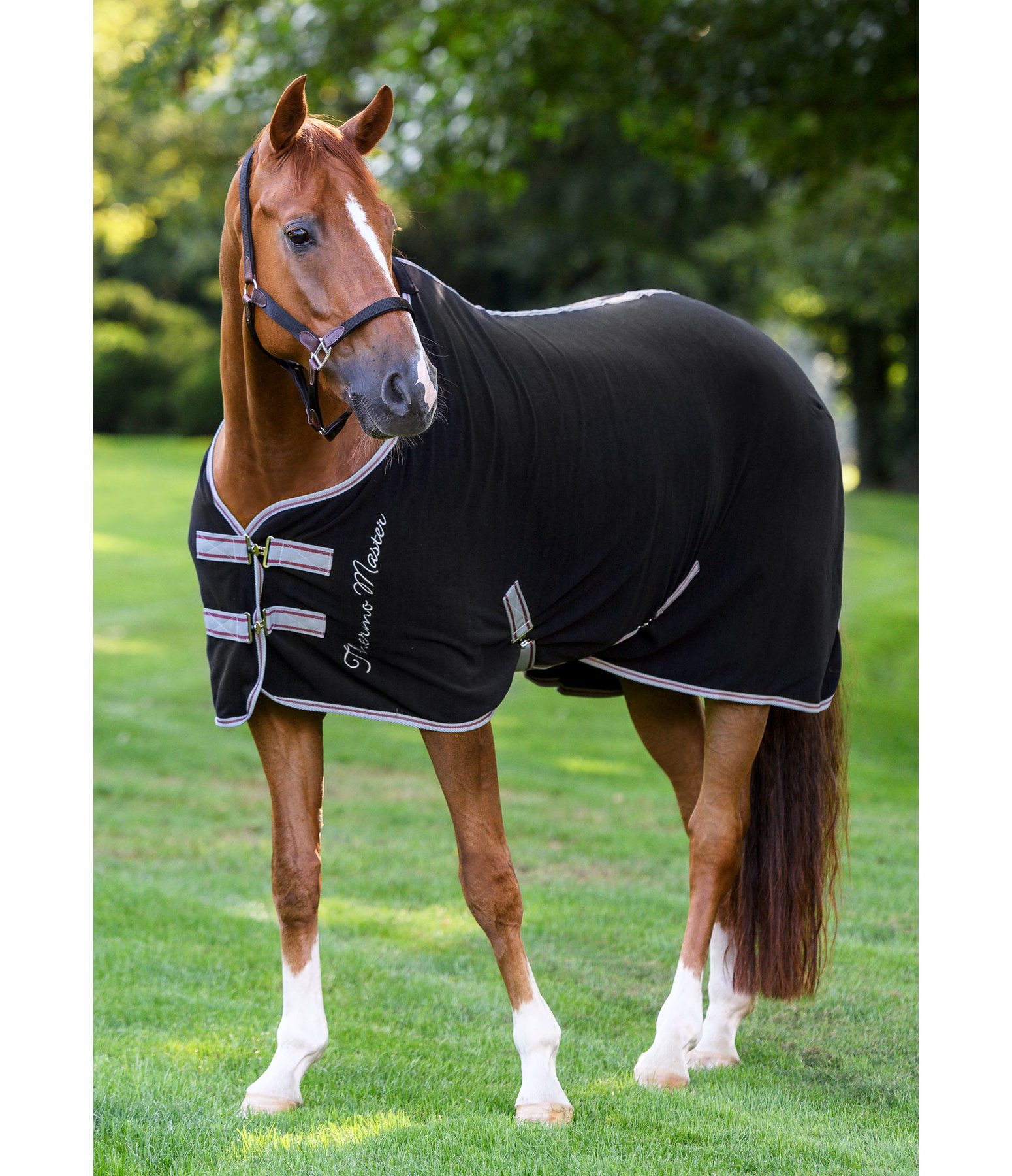 Funktions-Abschwitzdecke Terry Towel