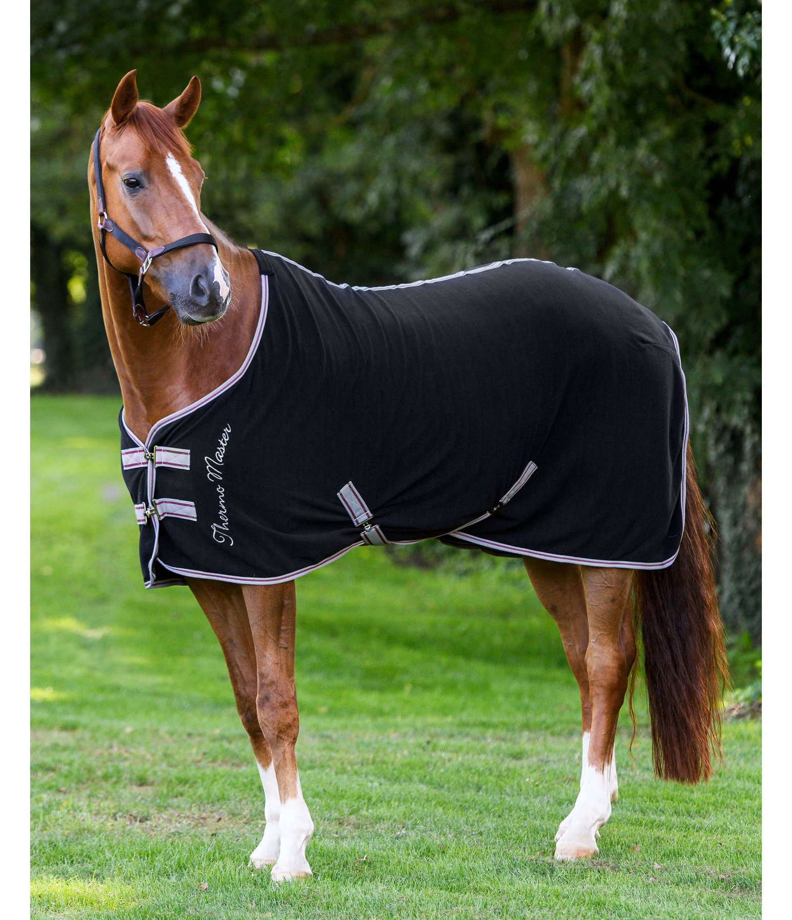 Funktions-Abschwitzdecke Terry Towel