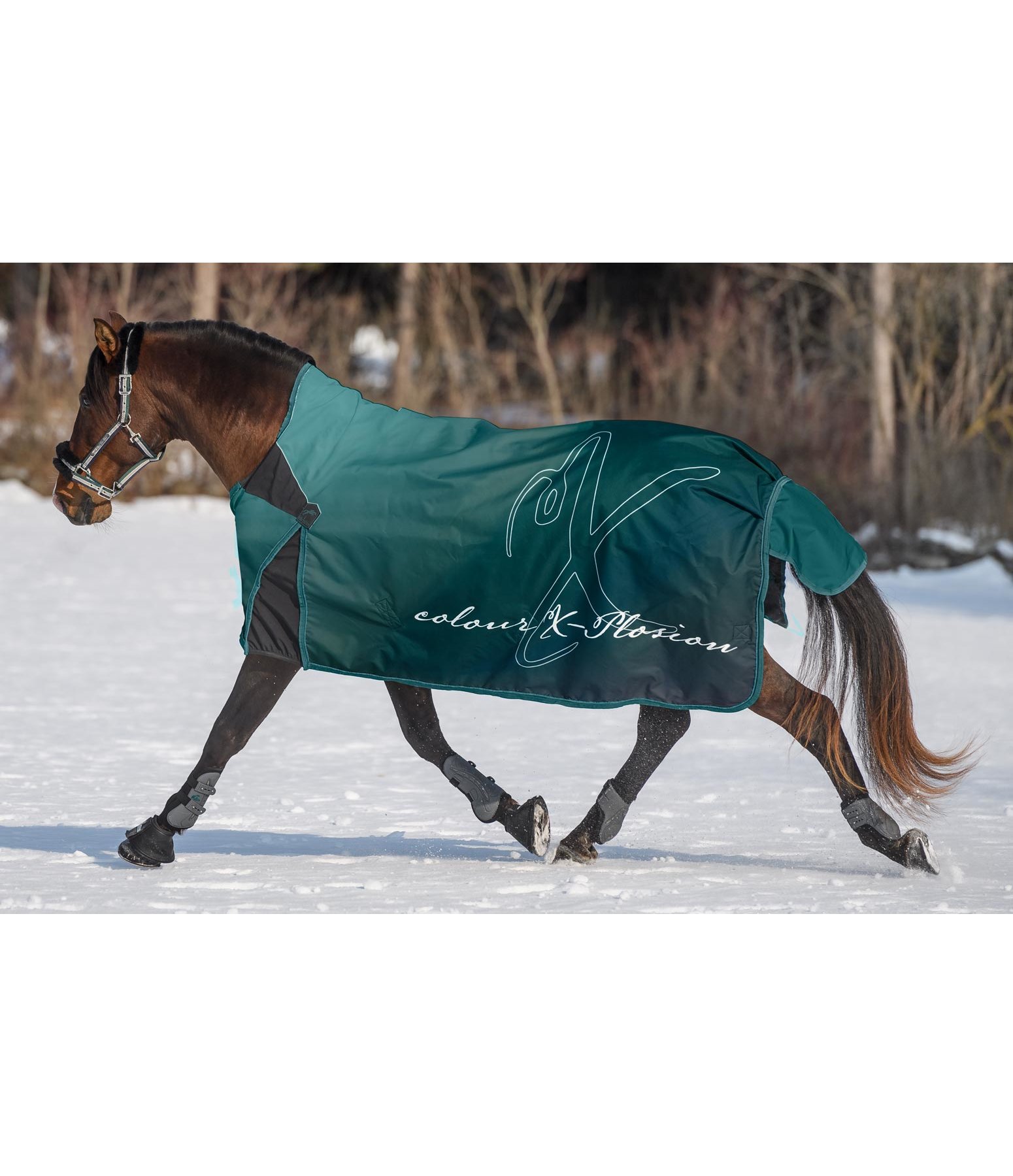 Winterdecke Highneck Colour X-Plosion, 100 g - Krämer Pferdesport