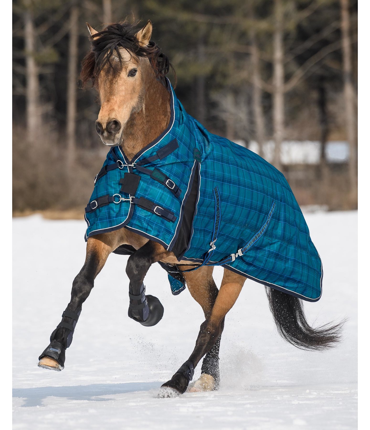 Stalldecke Highneck Canterbury 400 g