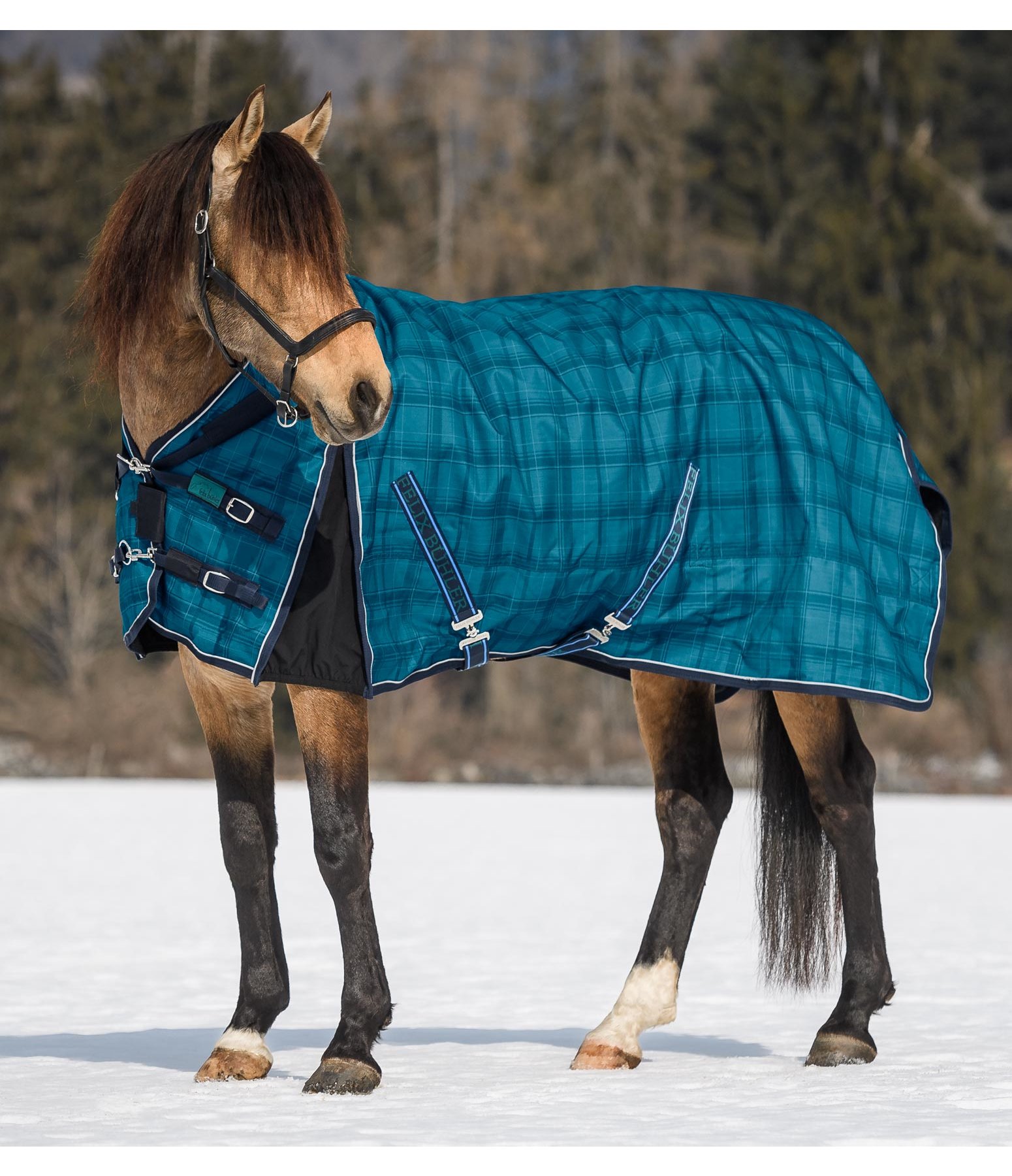 Stalldecke Highneck Canterbury 400 g