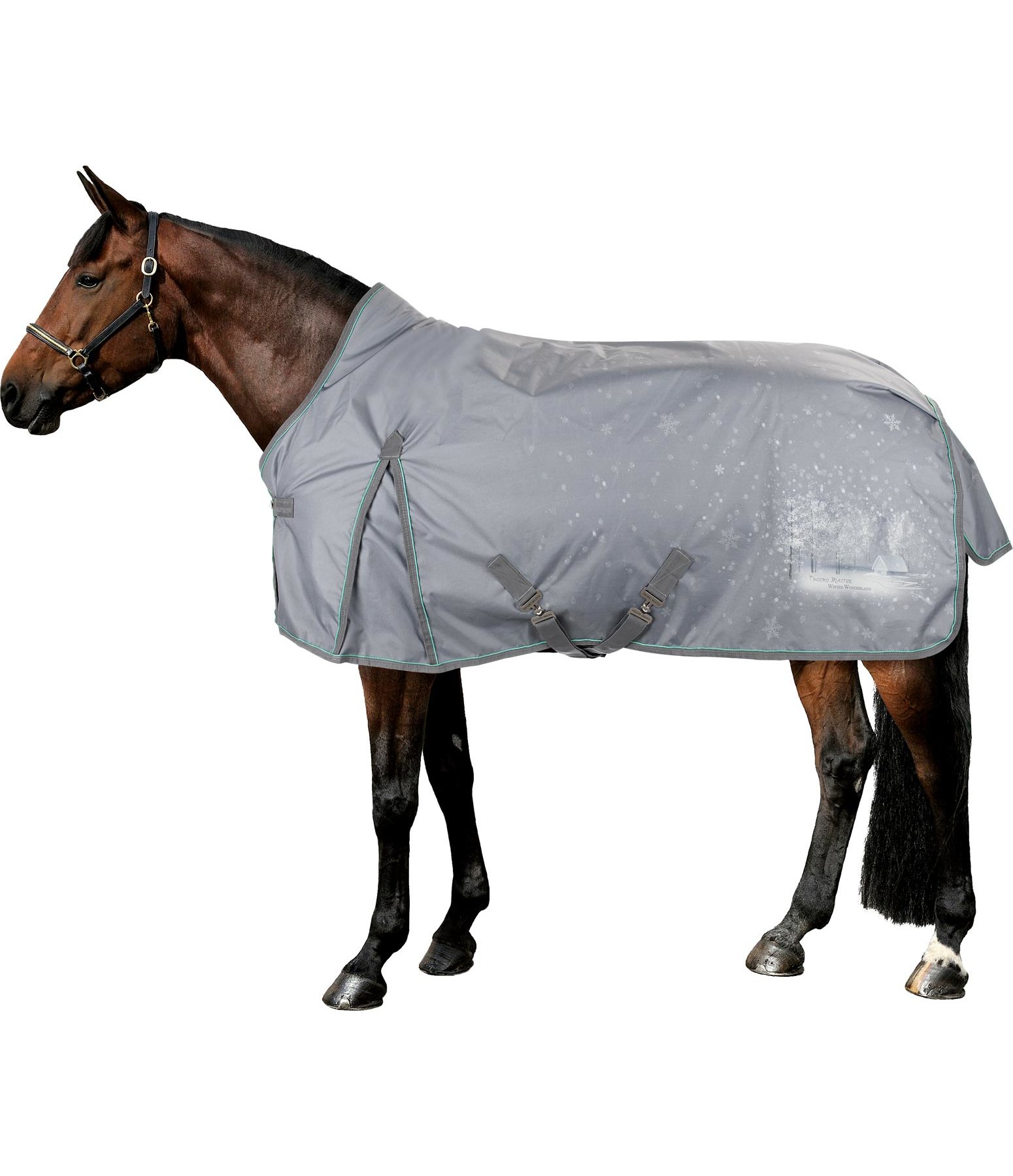 Outdoordecke Highneck Winter Wonderland 200 g