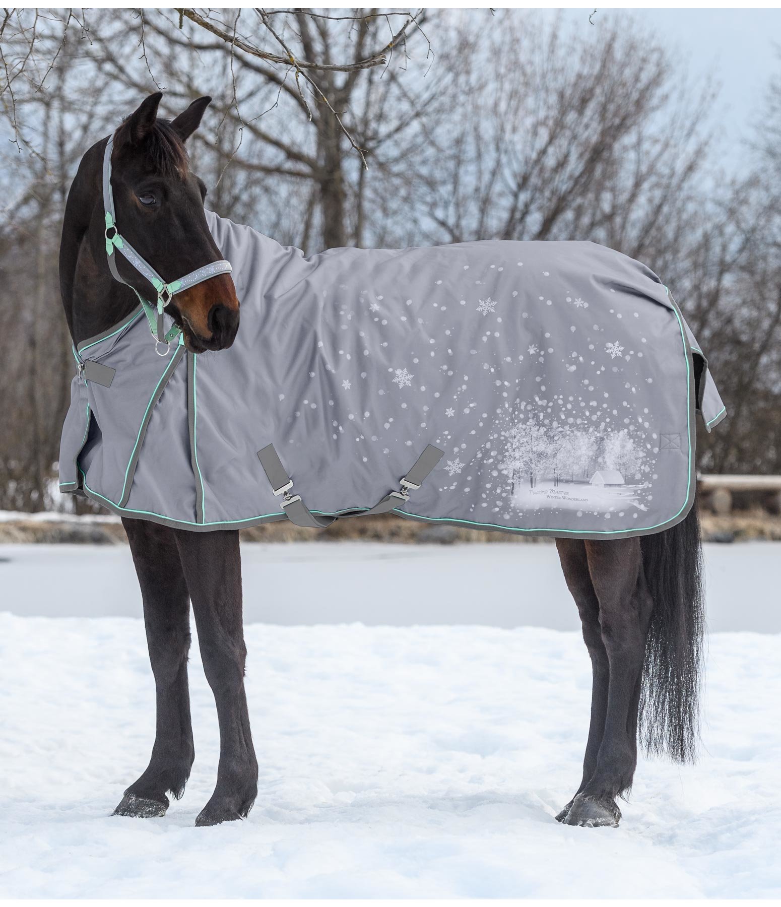 Outdoordecke Highneck Winter Wonderland 200 g