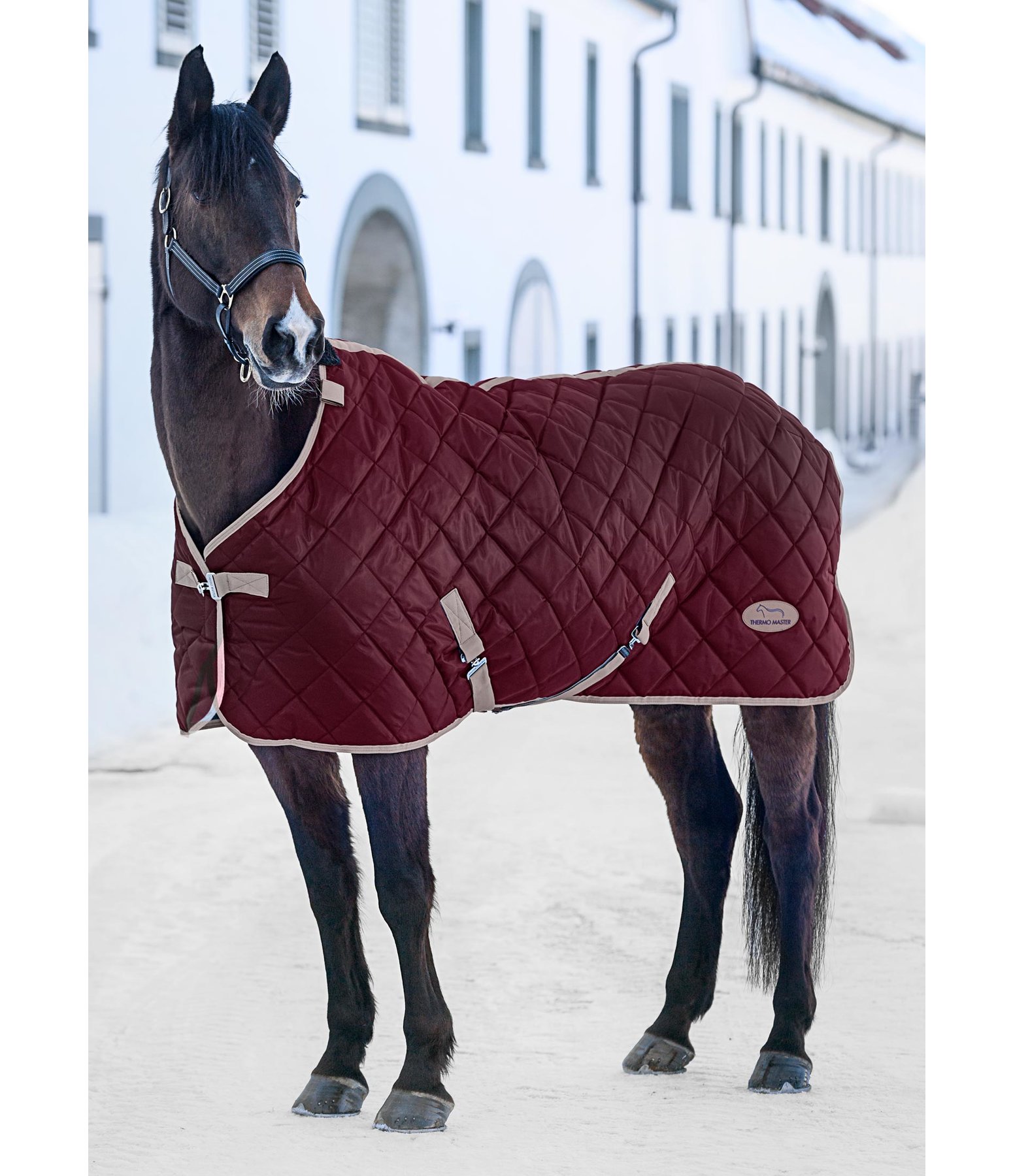 Stalldecke Aki II, 200 g
