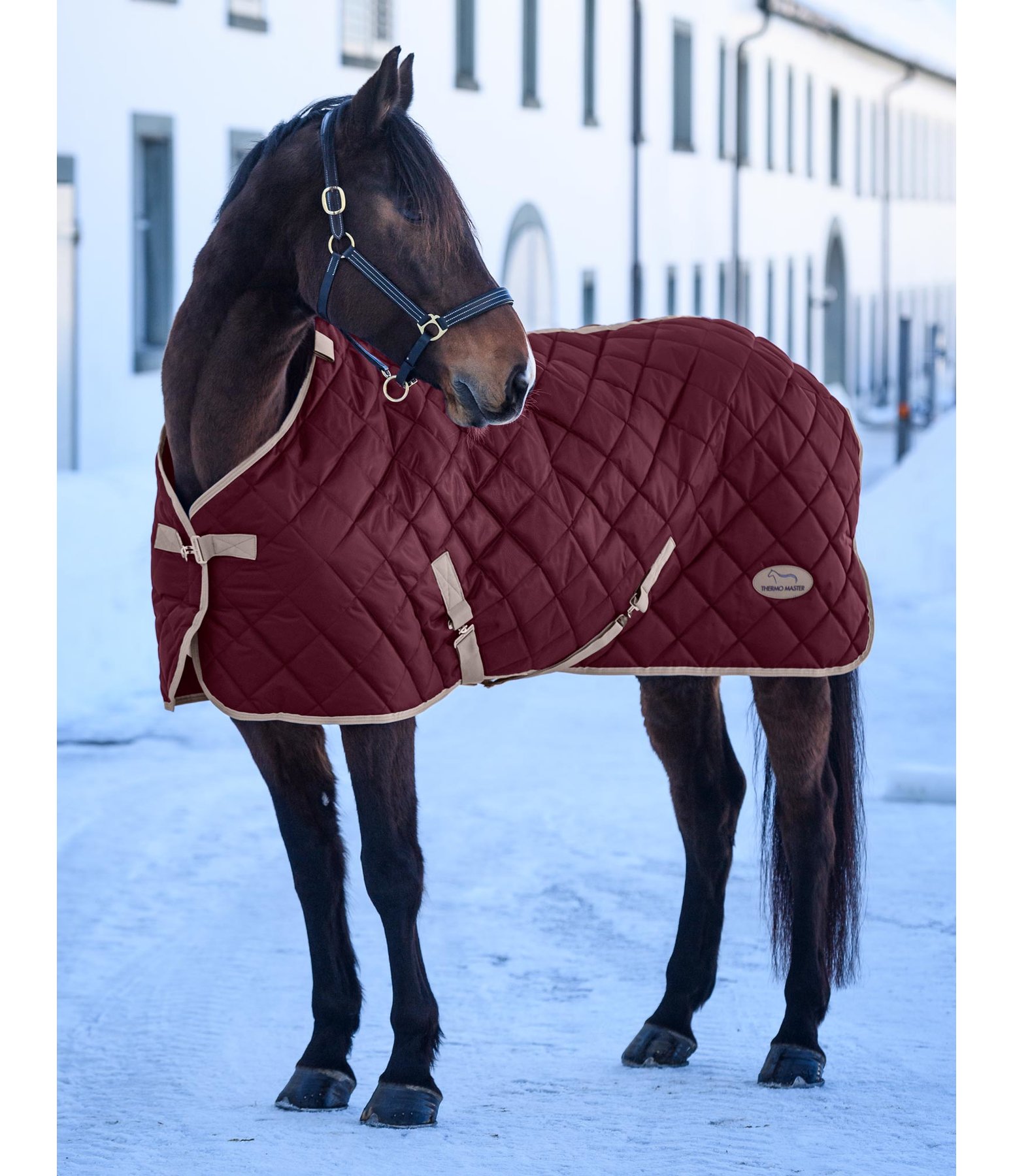 Stalldecke Aki II, 200 g