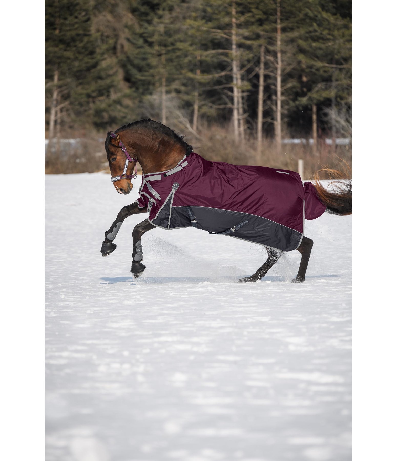 Power Winterdecke Lavea 1.680, 300 g