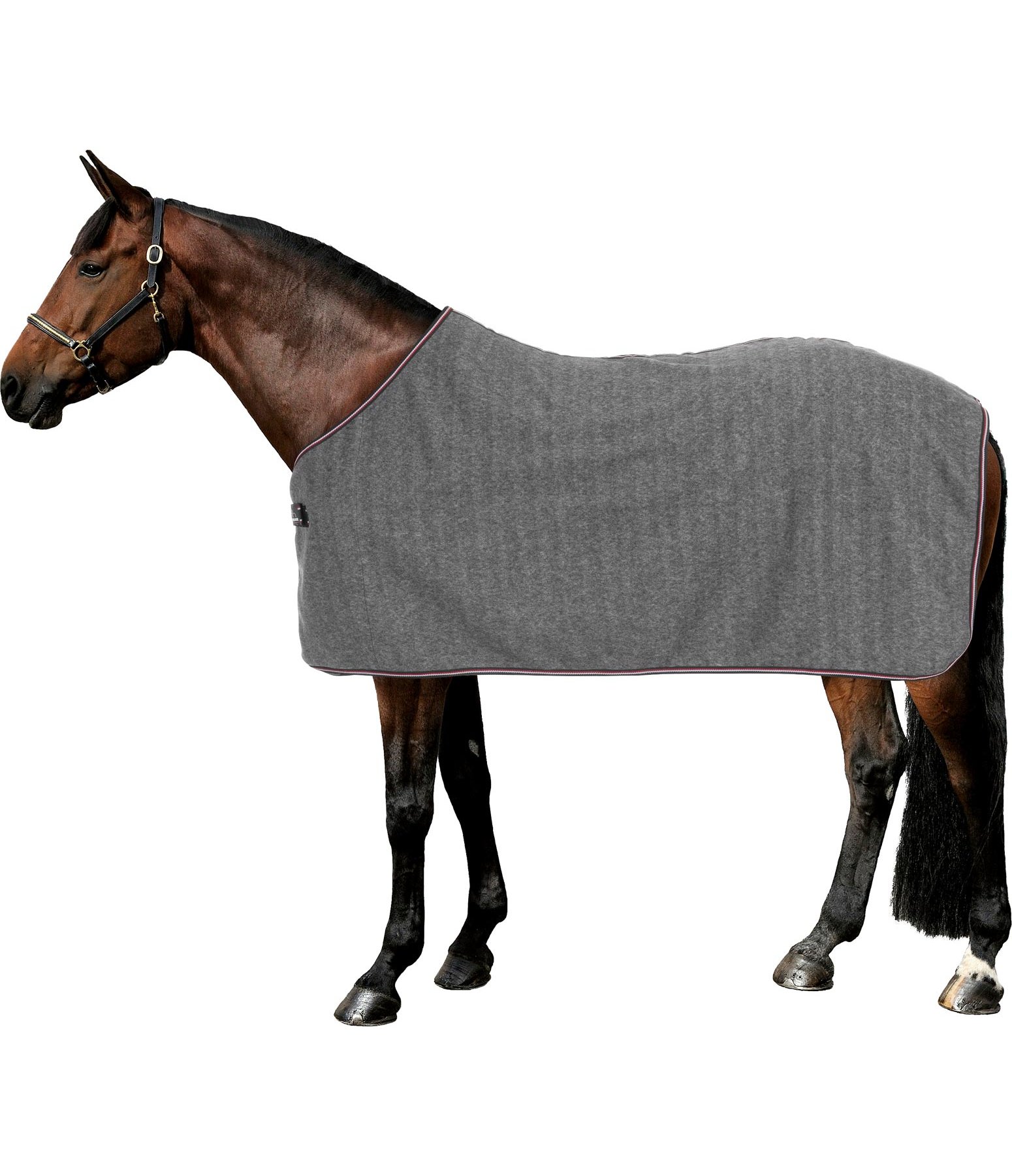 Filz-Fleecedecke Felty