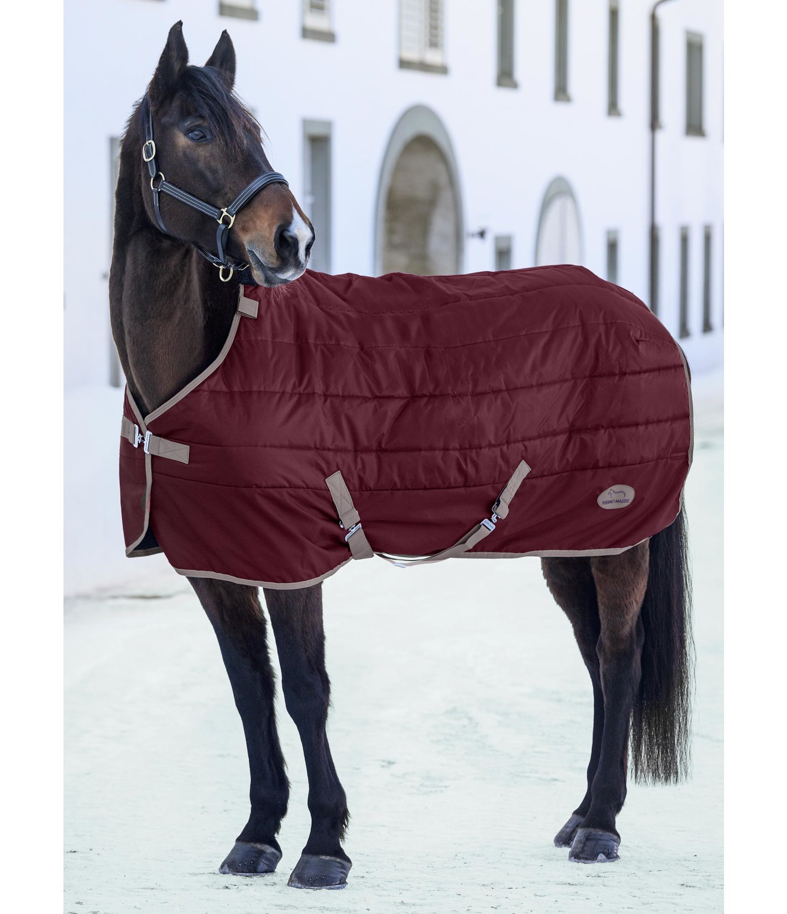 Kombi-Stalldecke Annecy II, 150 g