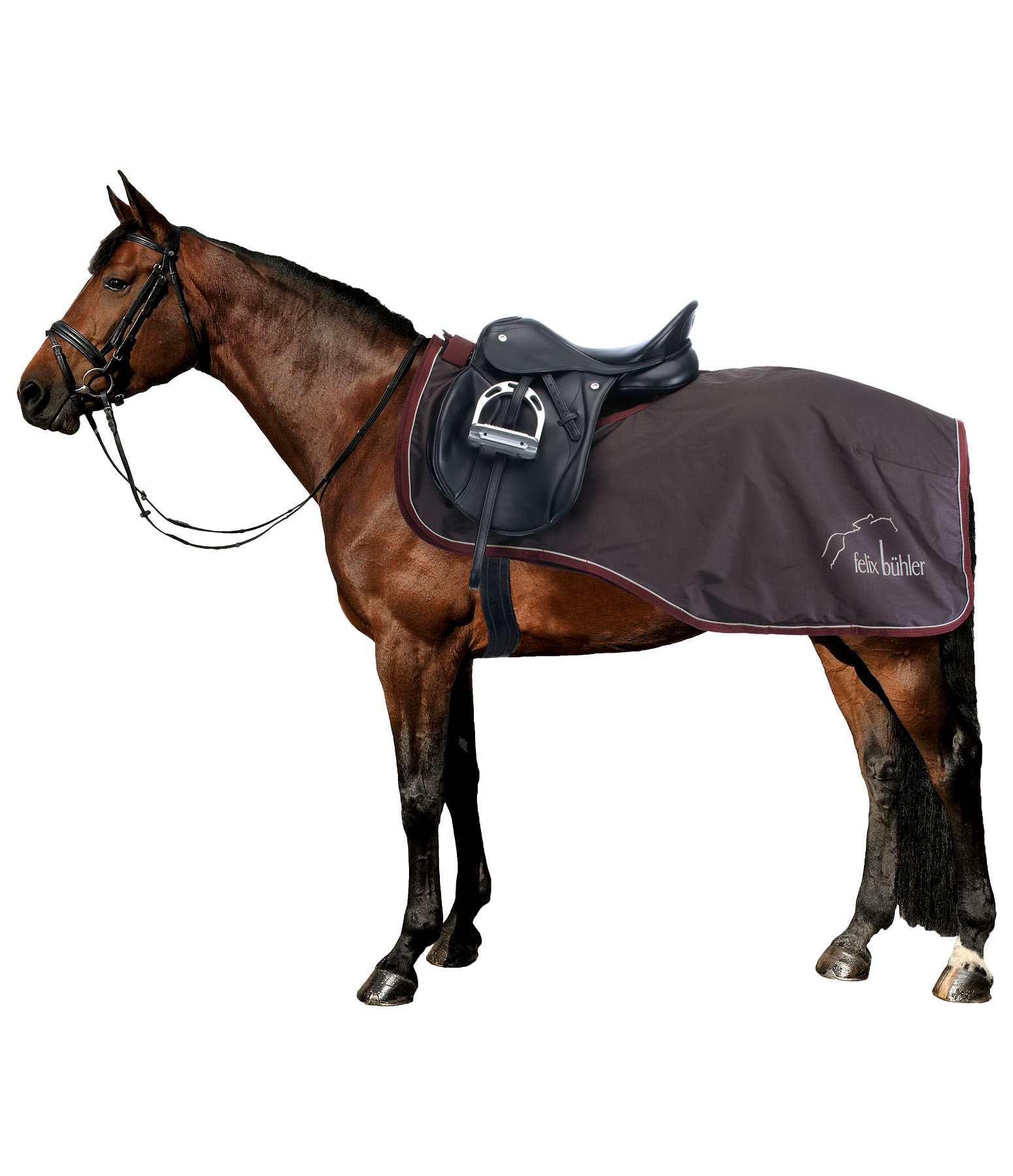 3 in 1 Ausreitdecke Kasimir II