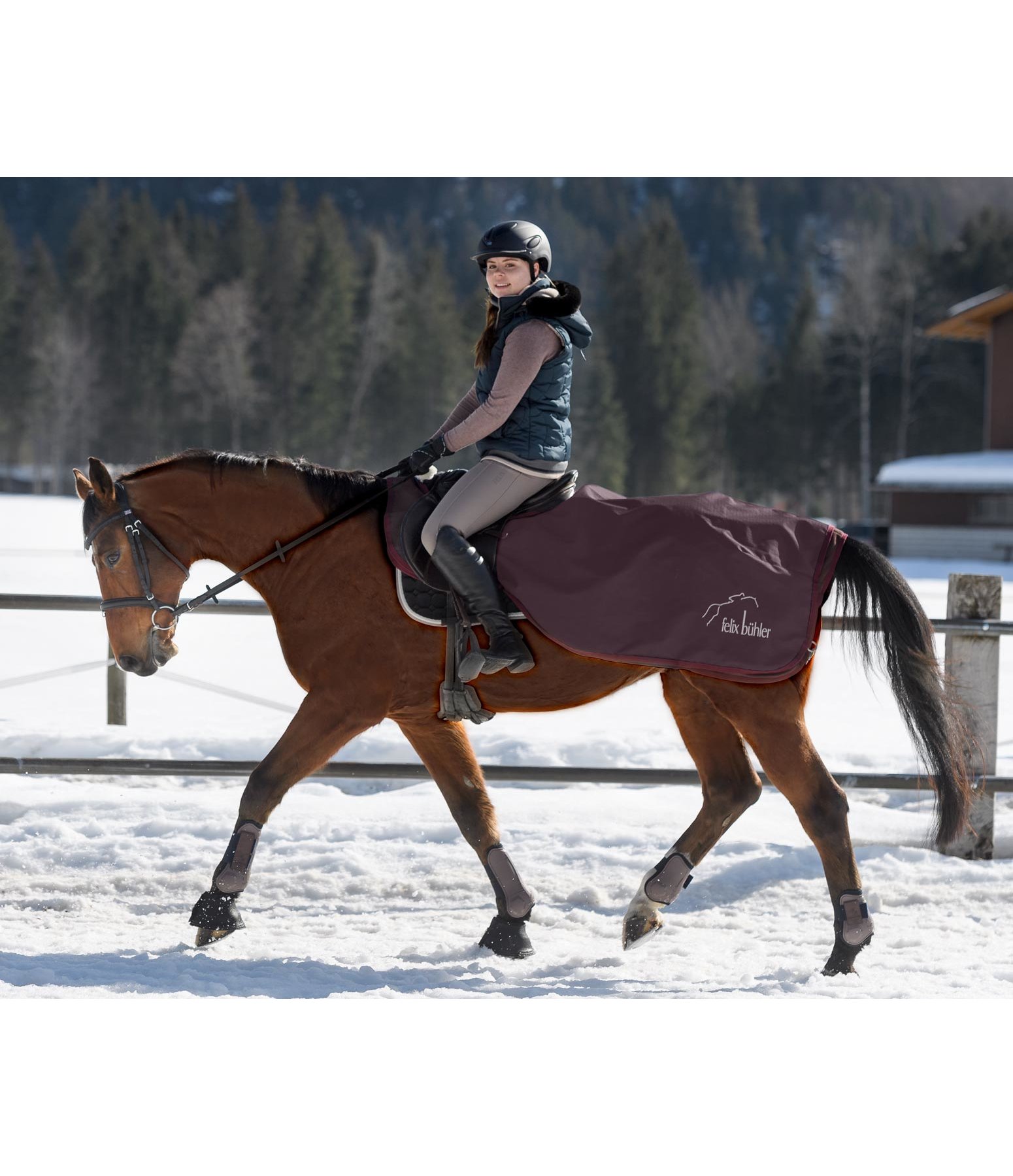 3 in 1 Ausreitdecke Kasimir II