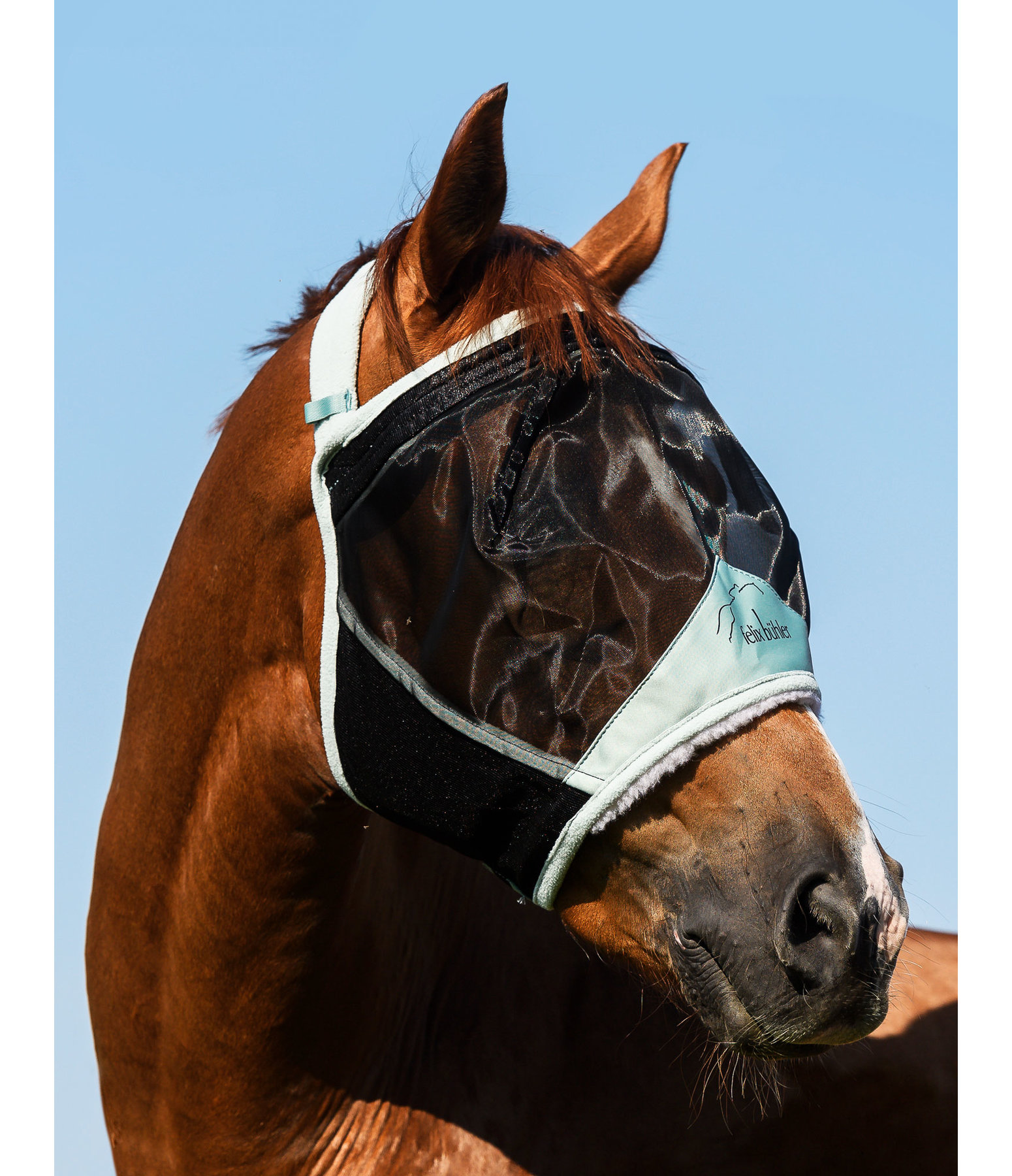 Fliegenmaske Ear-Free
