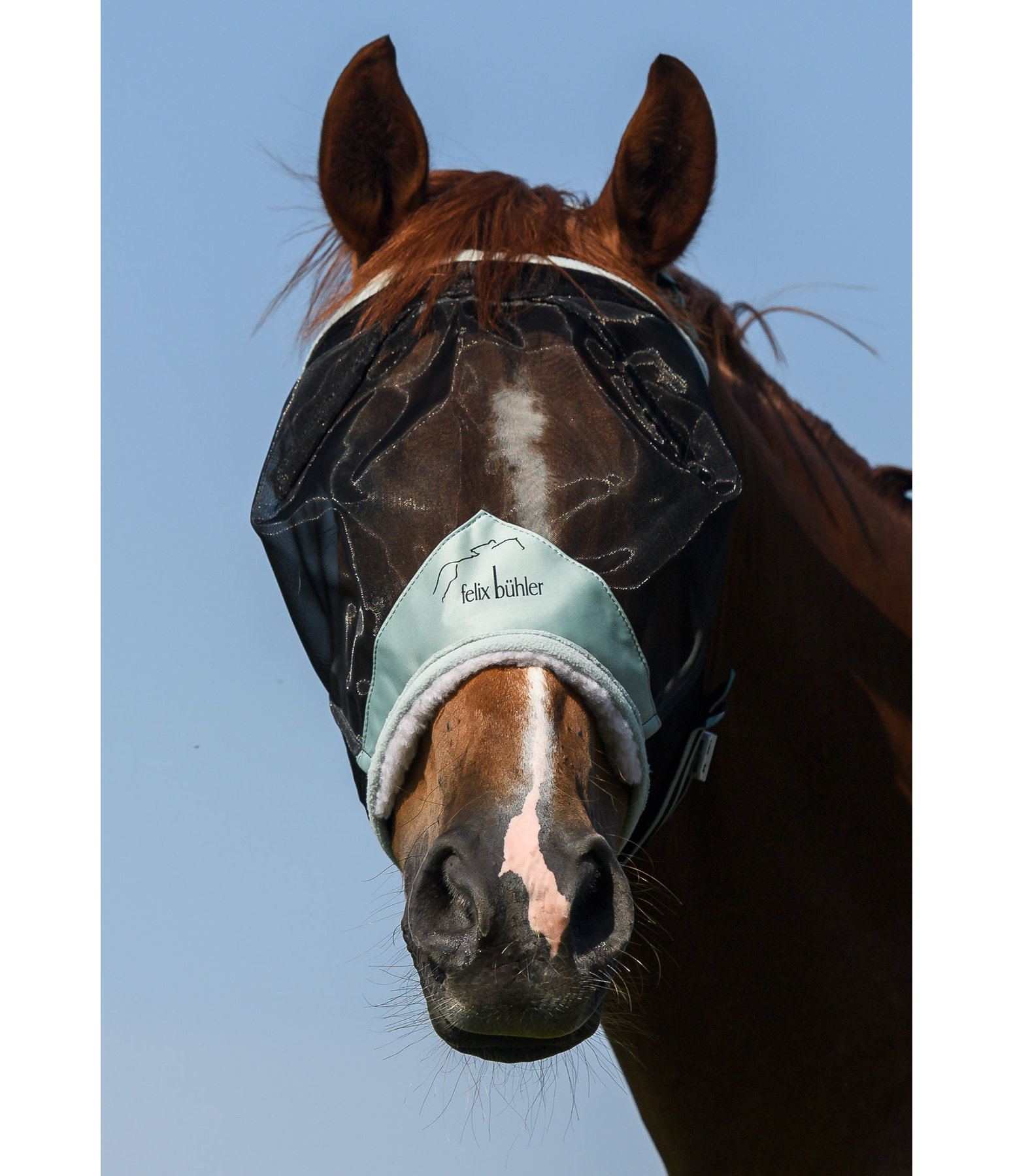 Fliegenmaske Ear-Free