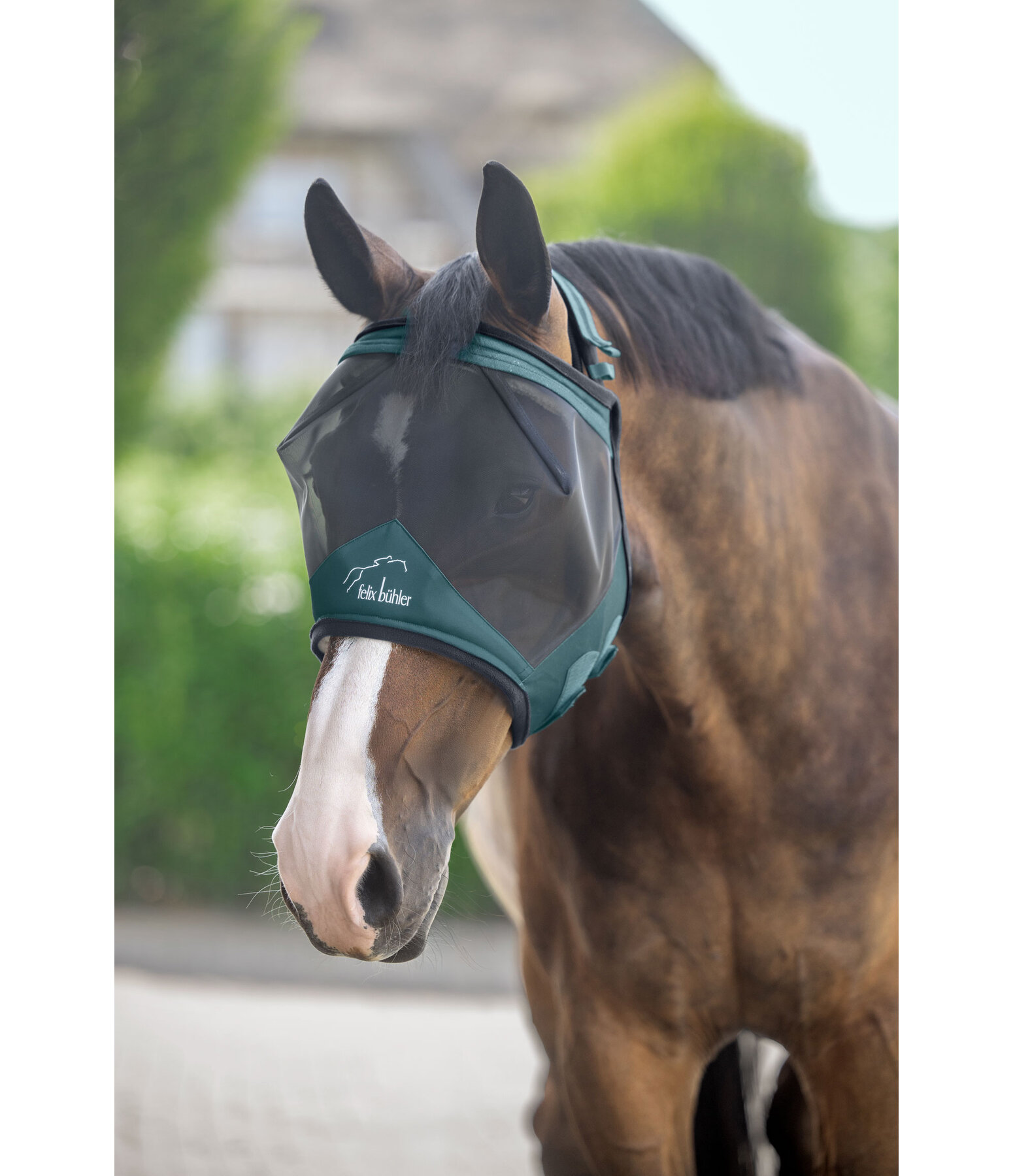 Fliegenmaske Ear-Free