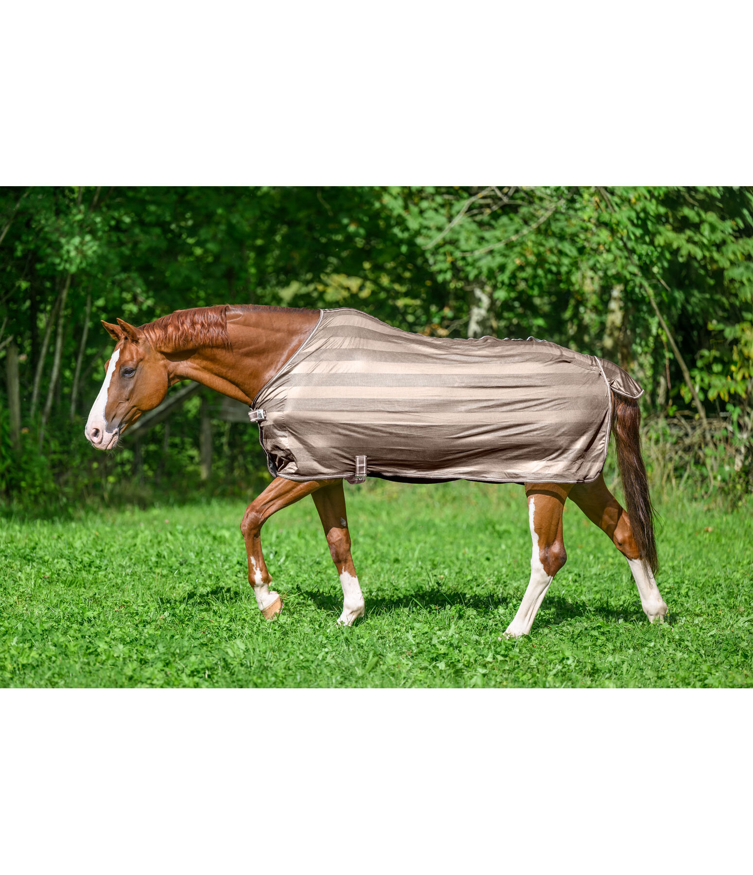 Fliegendecke Economy Light