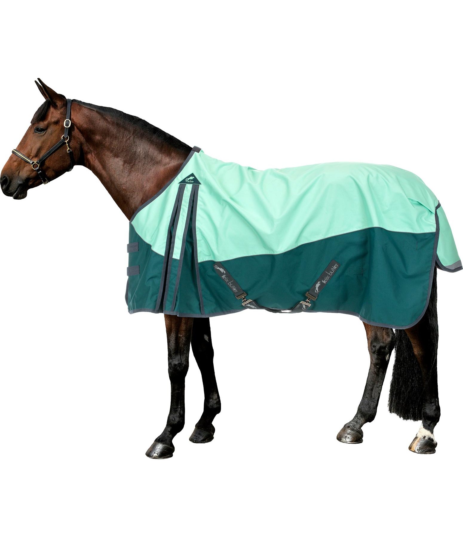 Regendecke Elara